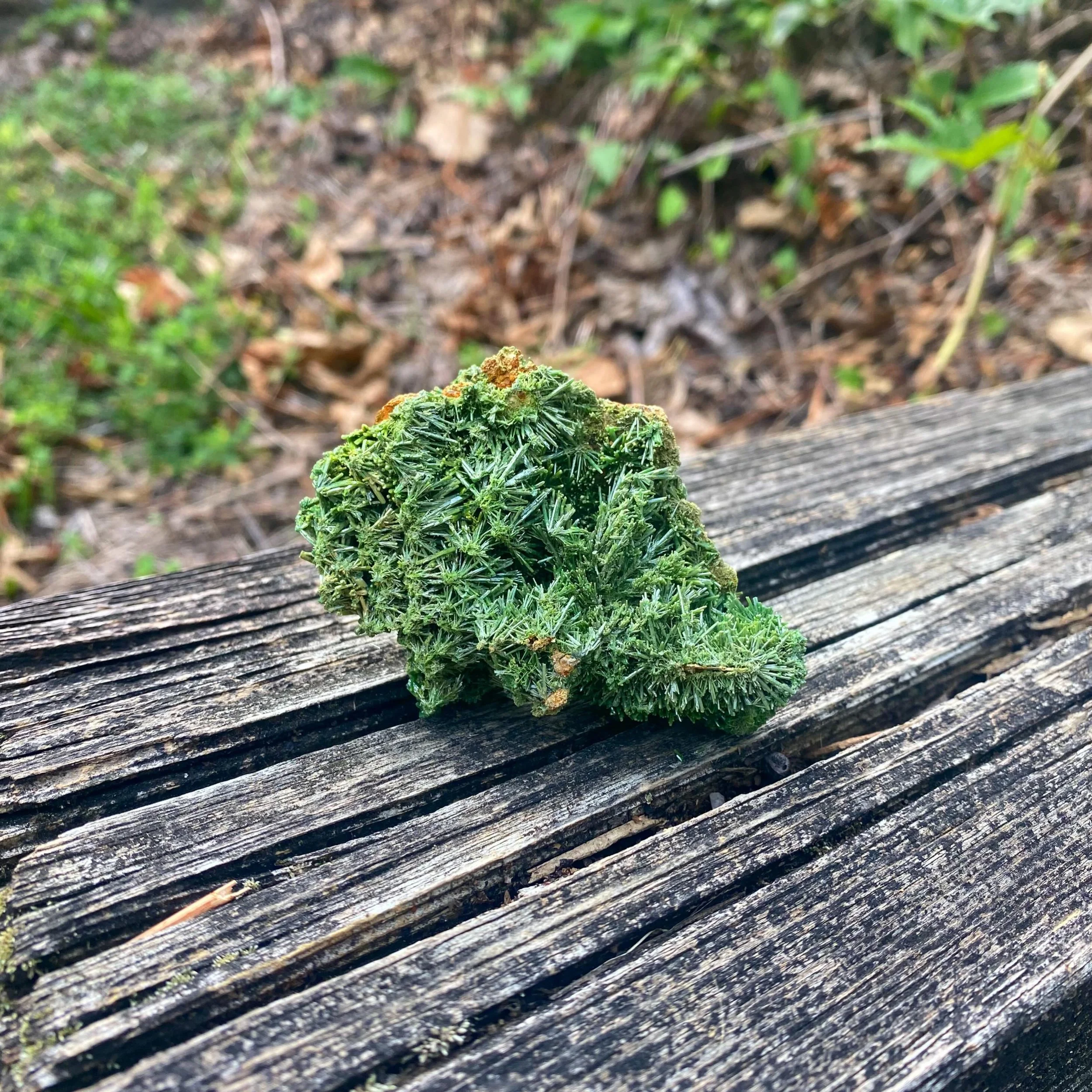 Spiky Pyromorphite 🌲✨
Pyromorphite can actually be found locally in Phoenixville! Pennsylvania has produced some of the most stunning historical specimens. ✨
&bull;
&bull;
&bull;
&bull;
&bull;
&bull;
&bull;
&bull;
&bull;
&bull;
#pyromorphite #crysta