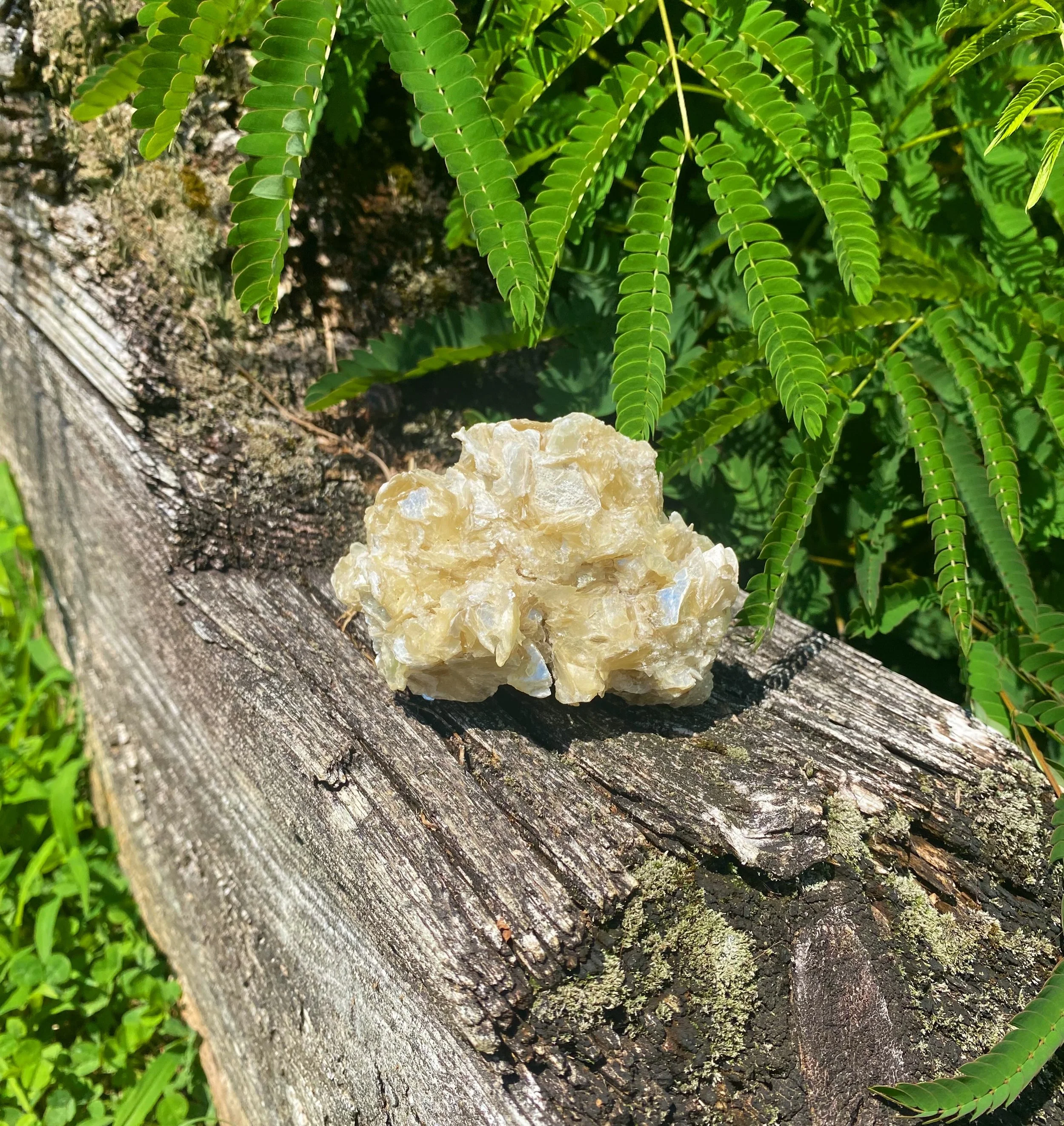 Golden Mica ⭐️✨
Mica is incredibly low on the hardness scale making thin slices flexible. Along side pyrite, golden mica is another form of &ldquo;fools gold&rdquo;, often being mistaken for real gold by prospectors. 
&bull;
&bull;
&bull;
&bull;
&bul