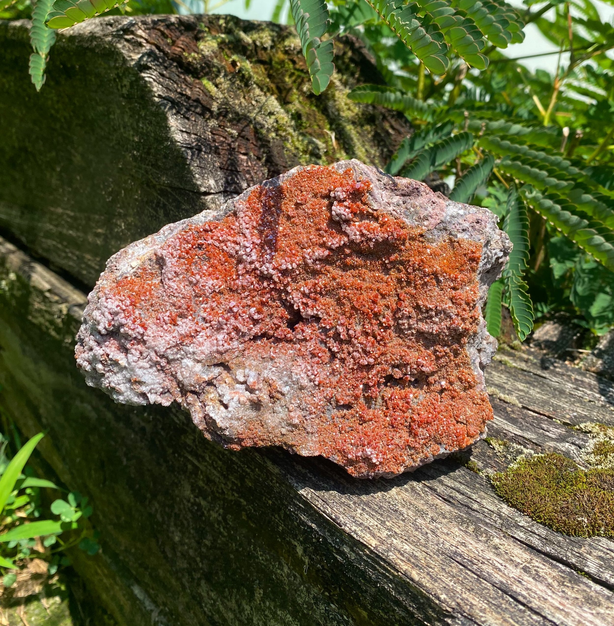 Sparkling Vanadinite ❤️&zwj;🔥✨
Vanadinite contains a high level of lead, making even small pieces feel surprisingly heavy. Vanadium gets its name from the Norse goddess Vand&iacute;s aka Freya! ✨
&bull;
&bull;
&bull;
&bull;
&bull;
&bull;
&bull;
&bul