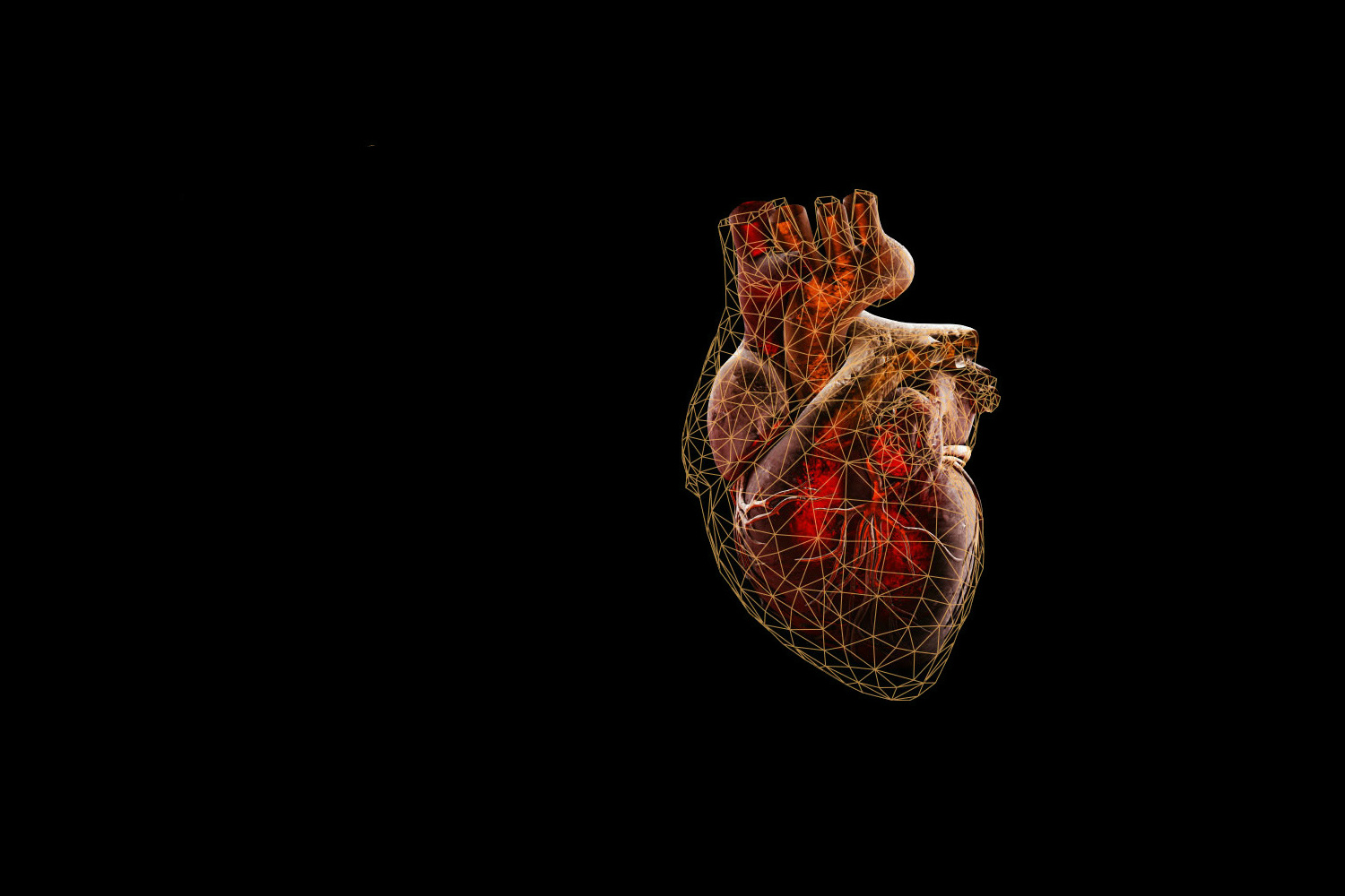 Heart2.jpg
