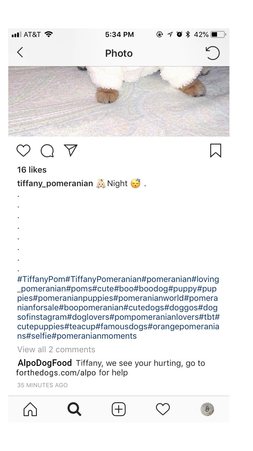 Instagram post2-1257.jpg