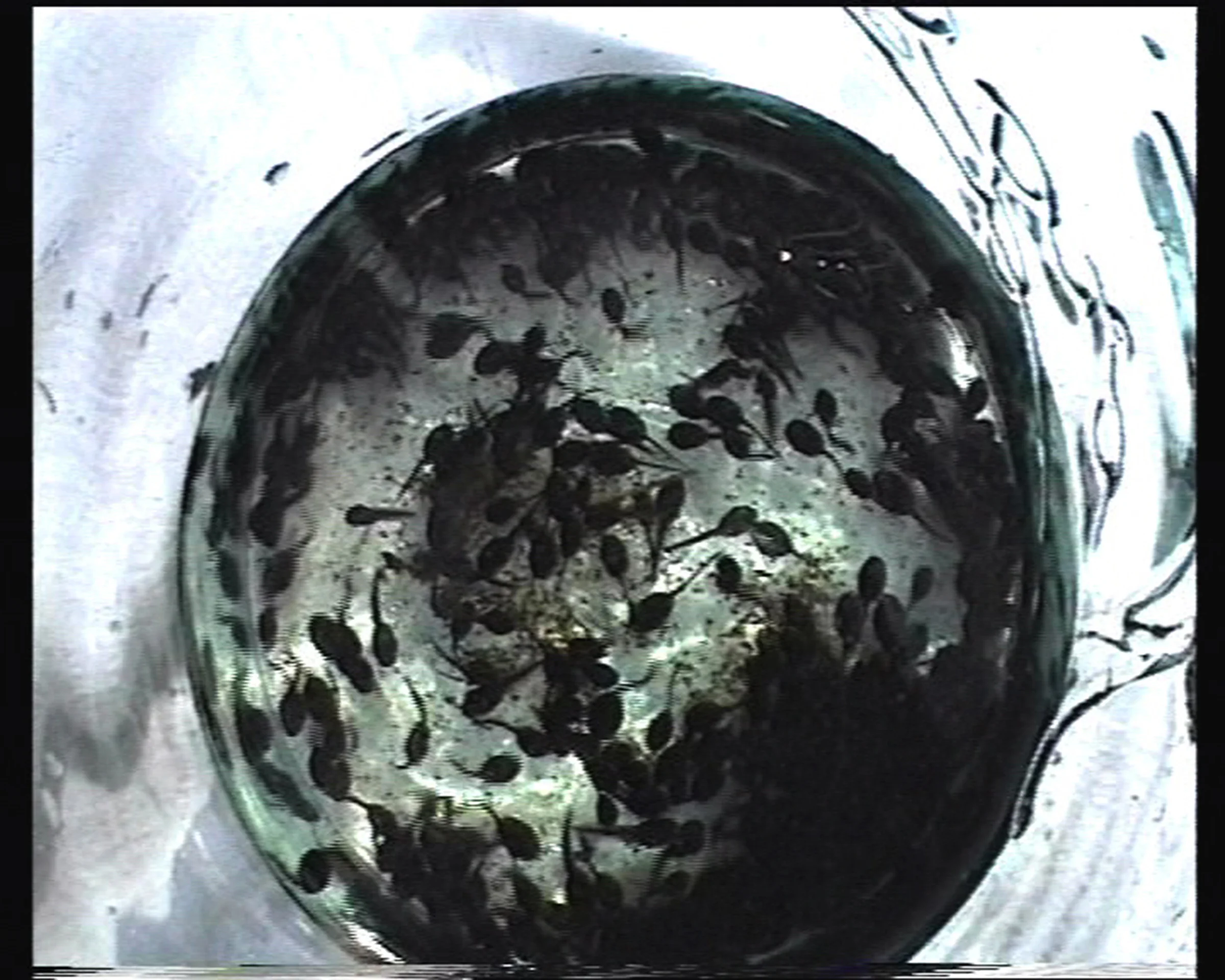 kule-1.jpg