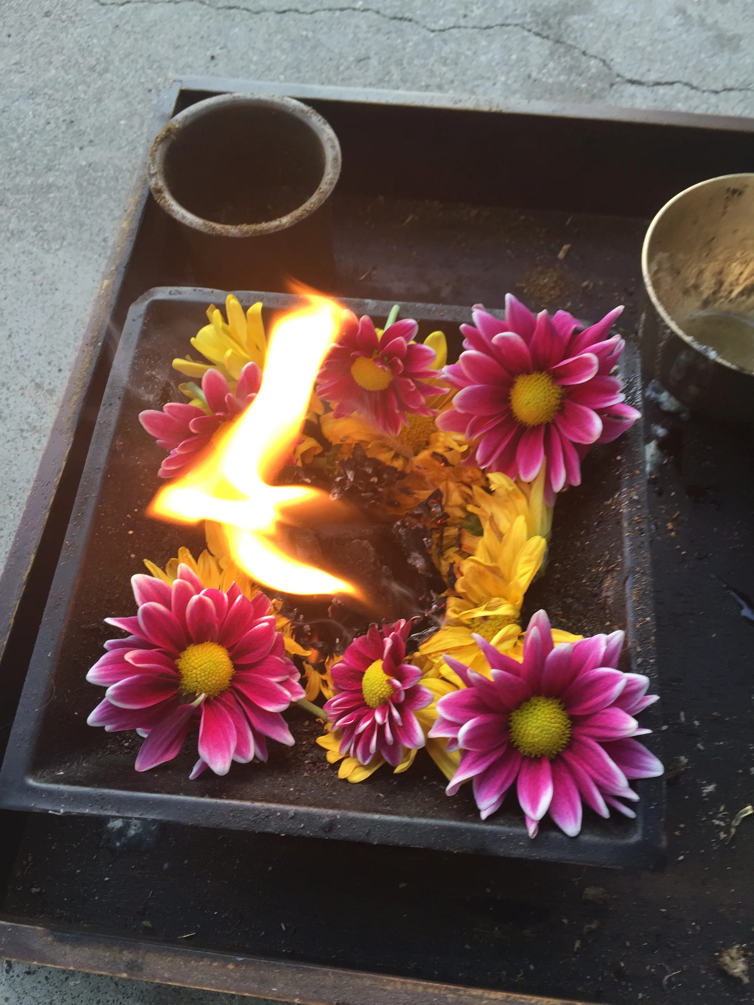 Vedic Fire Ceremony Mantras