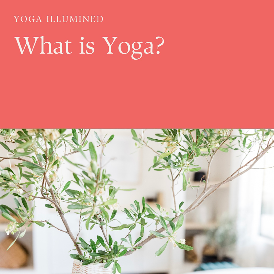 Yoga Illumined Certification and Beyond