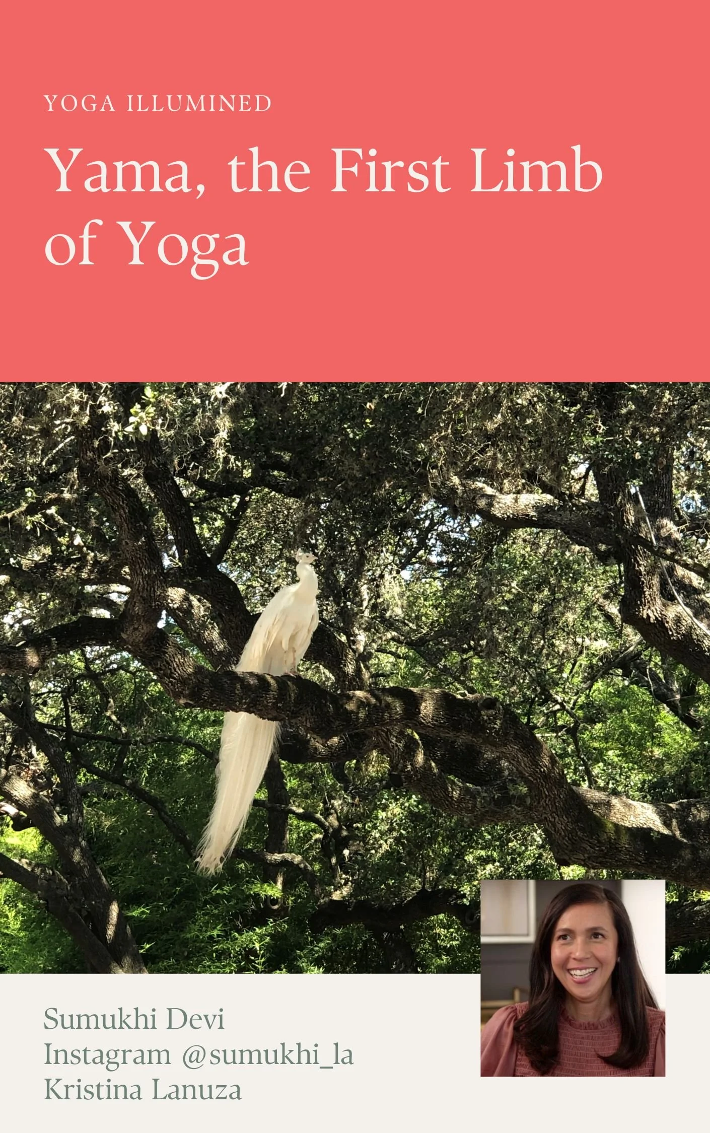 Yoga Illumined Book 4