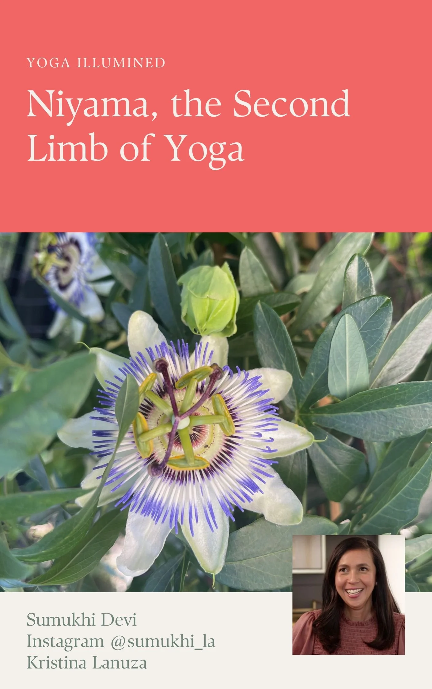 Yoga Illumined Book 5