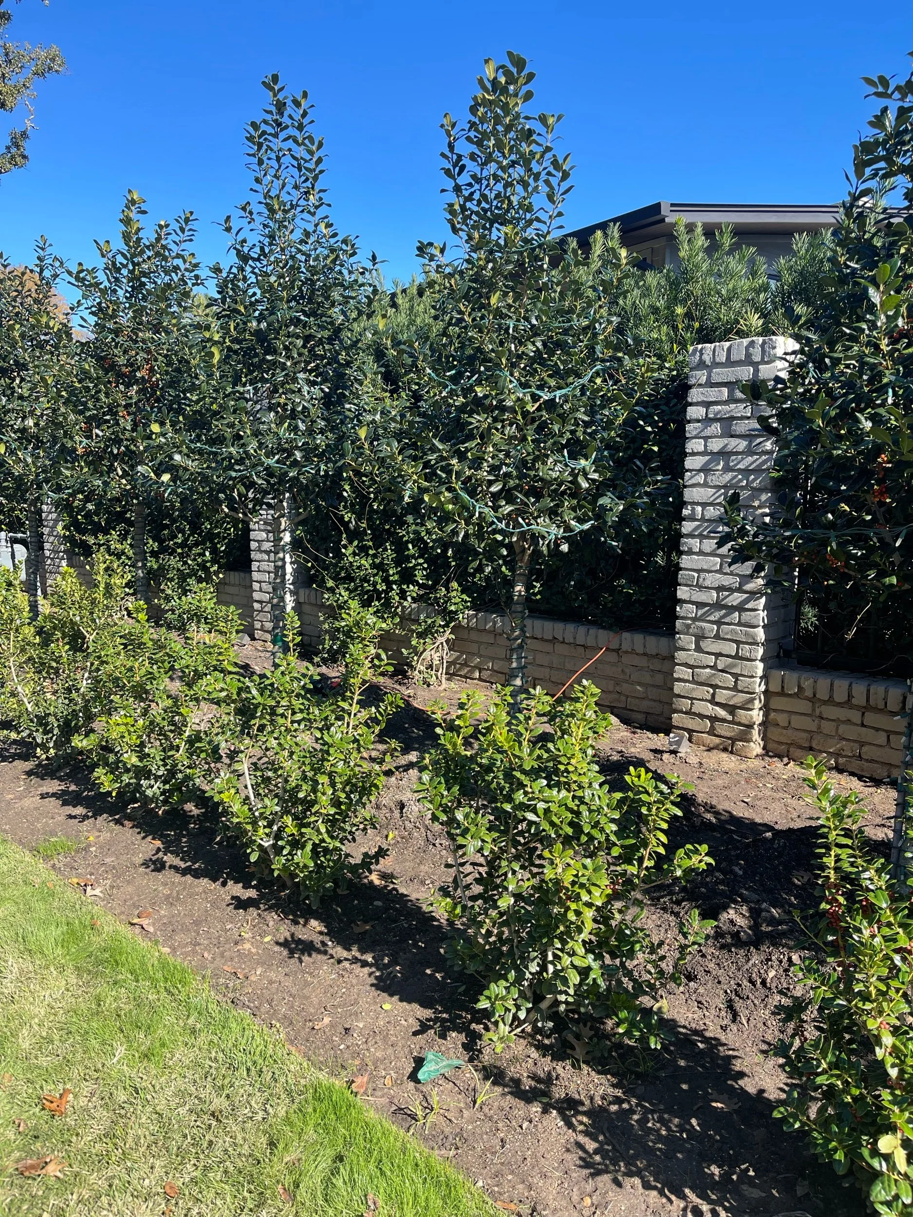 Yoga and Psychological Safety