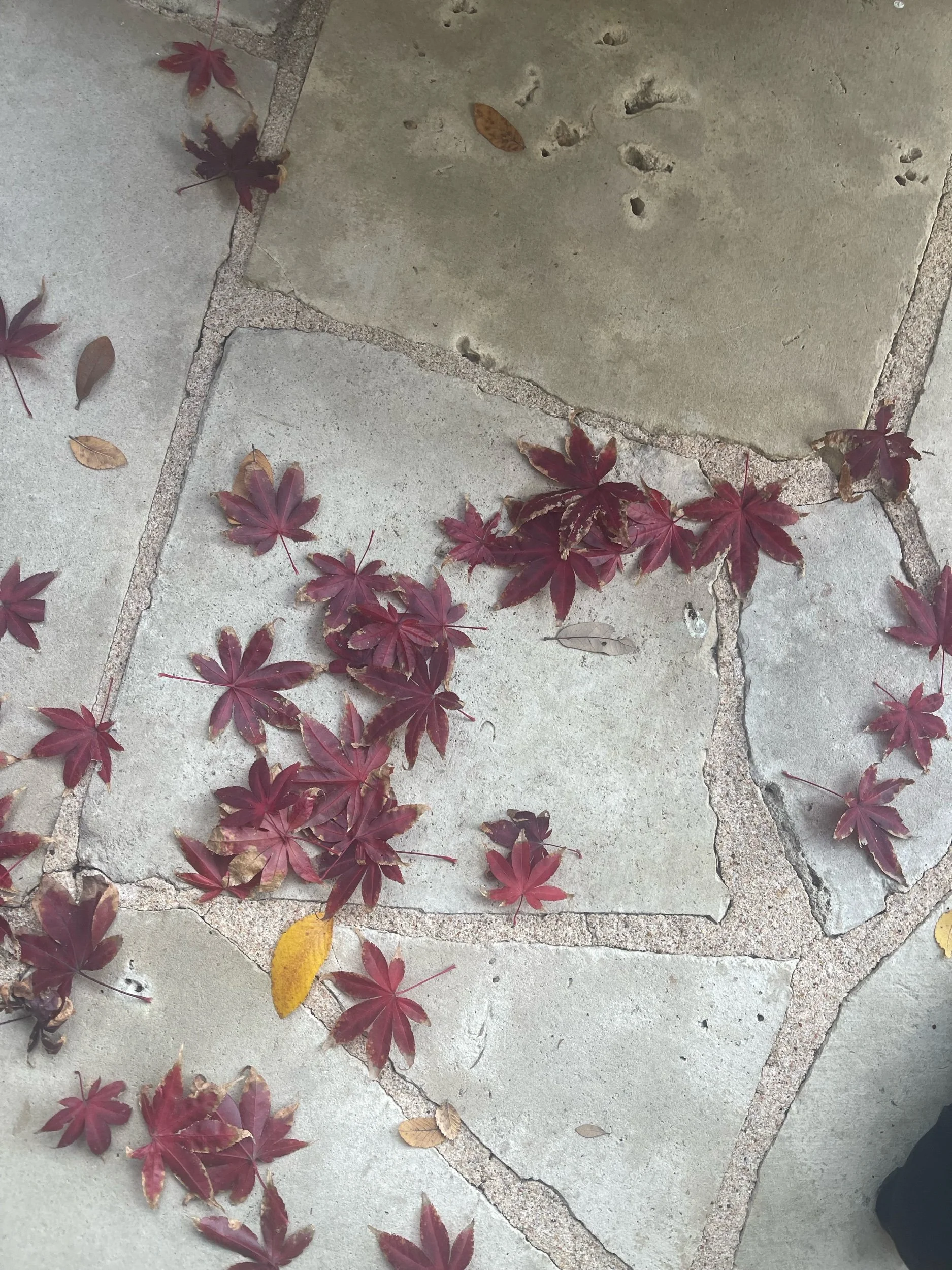 “Mind your own Business” - the Mantra