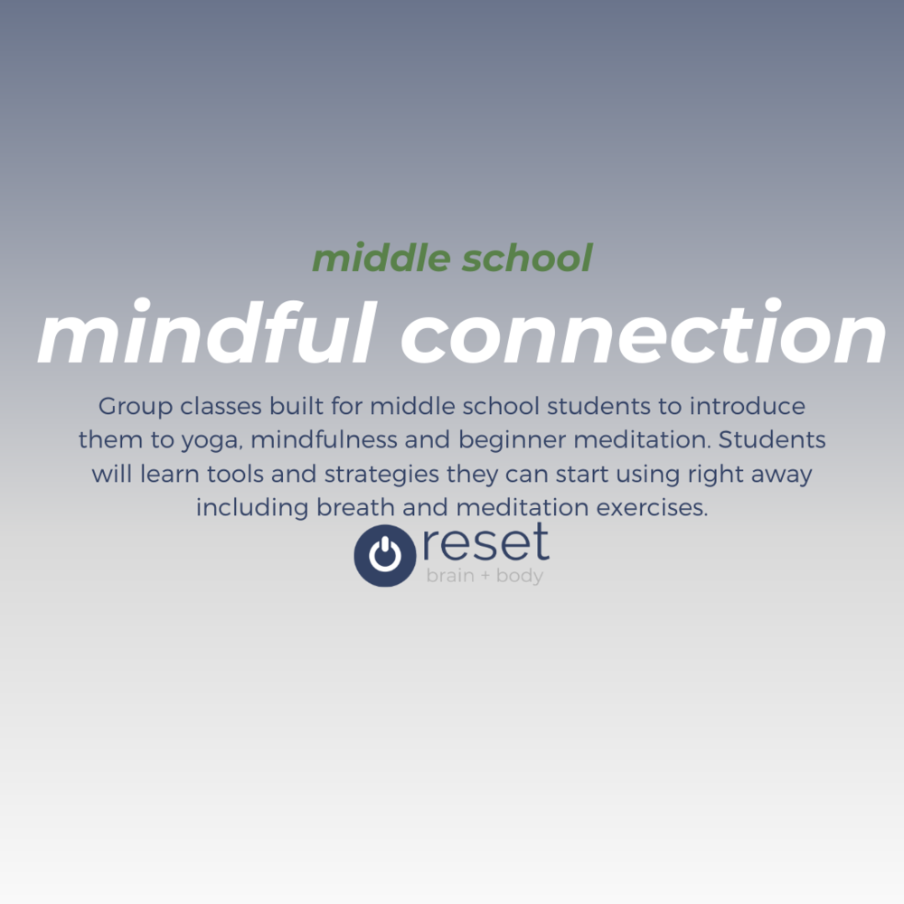 mindful connection: middle school â reset brain + body, mental health and wellness counseling practice in Plymouth, Michigan
