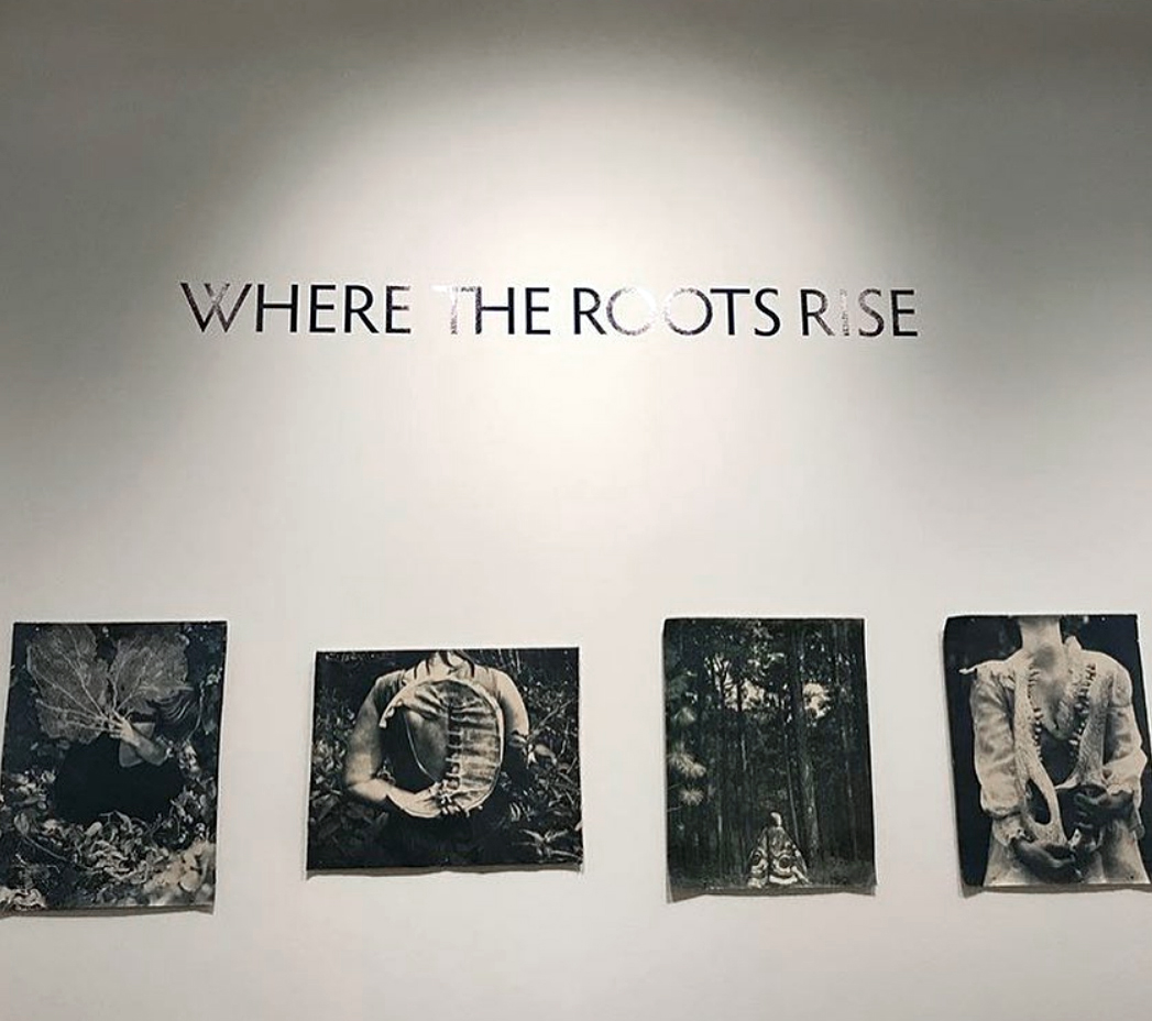 Where the Roots Rise