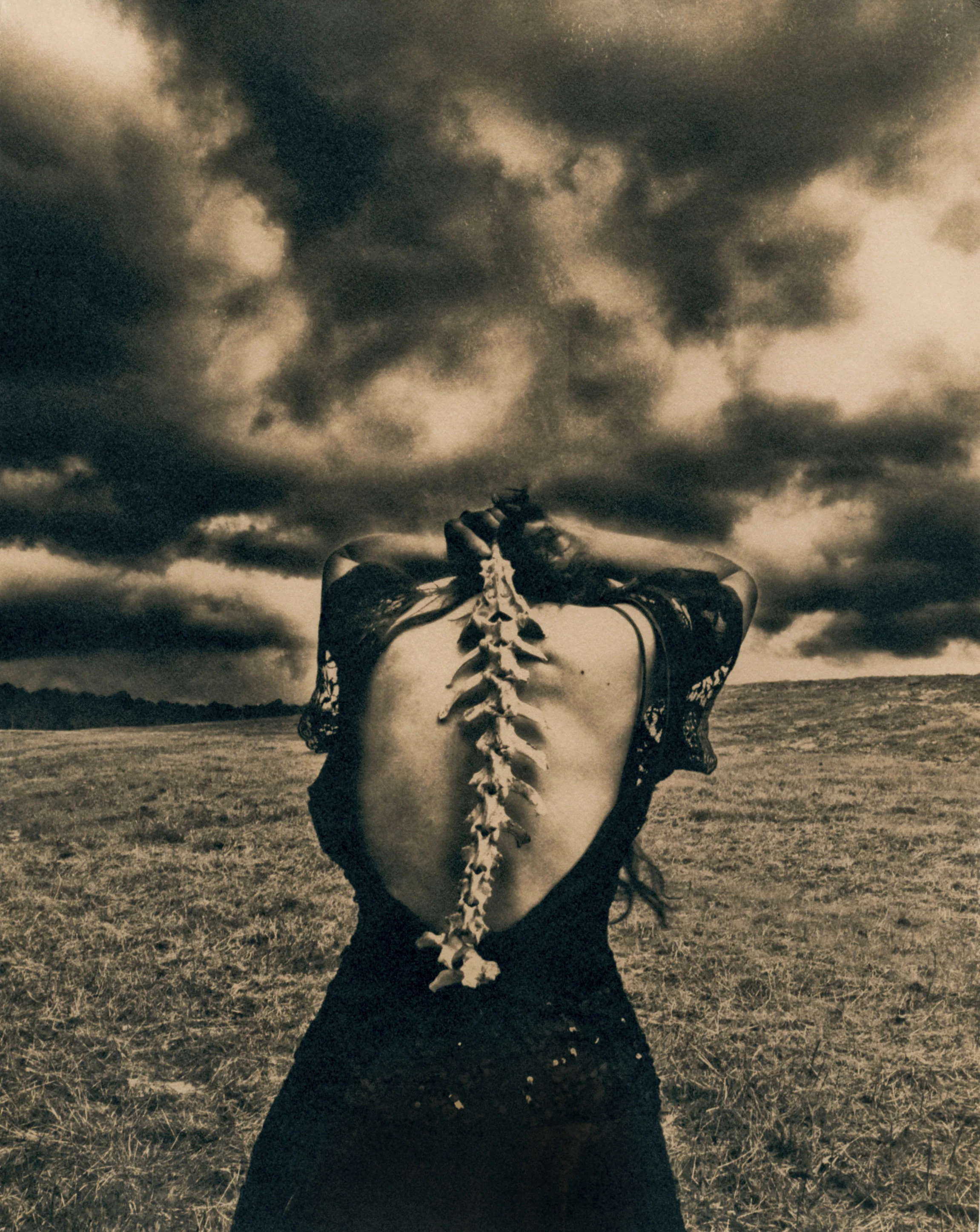 1st place FMOPA International Photography Competition