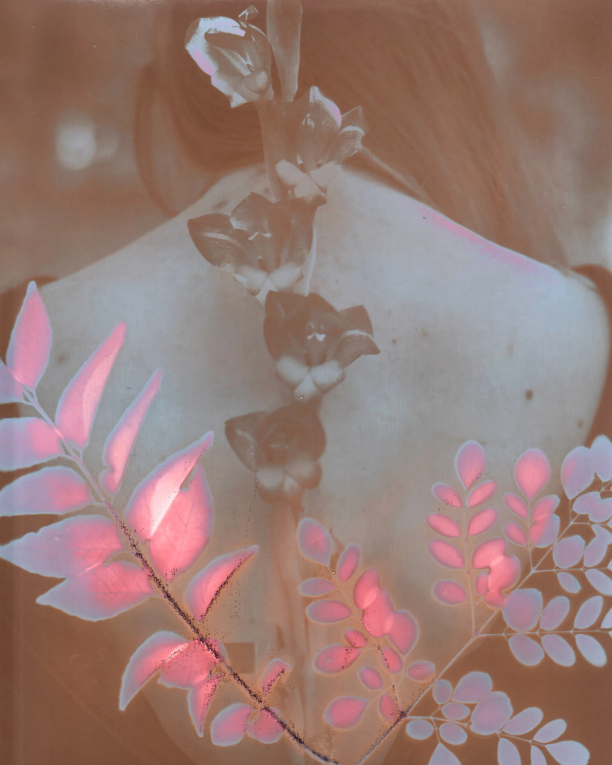 Lumen Printing 