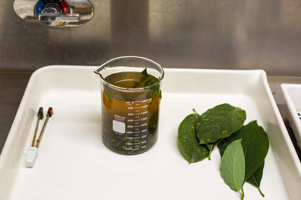 Cyanotype Toning Book Contributions