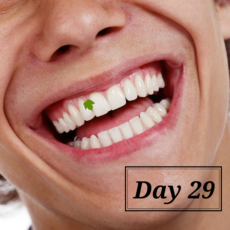 Day-29-GRAPHIC-2.png