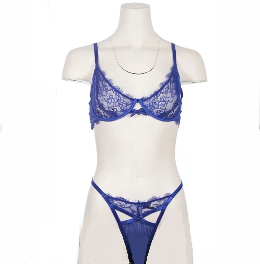 Blue Lace and Mesh Bra and Panty Set