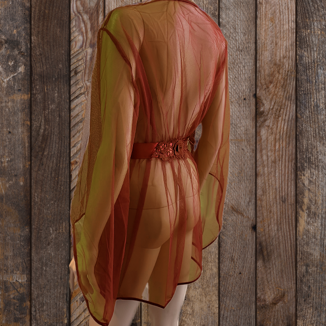red-robe-back.png
