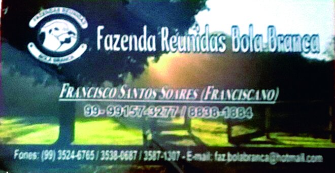 43- FAZENDA REUNIDAS BOLA BRANCA.jpg