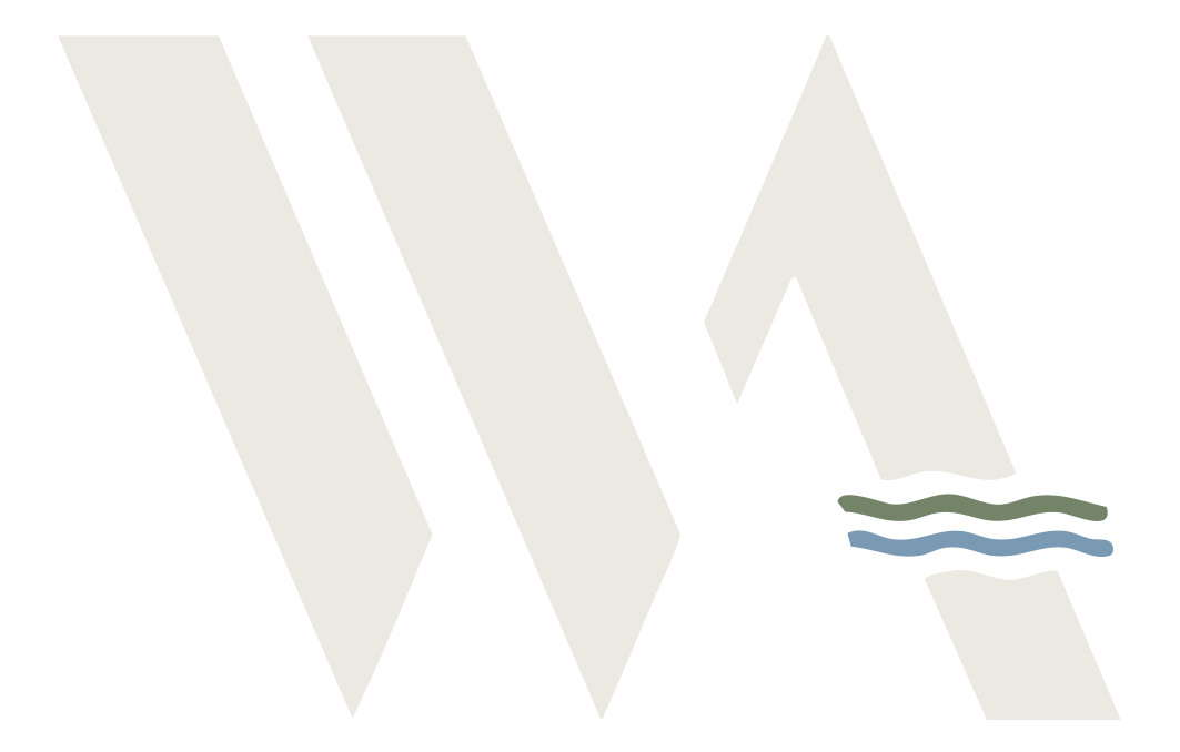 Water Artisans