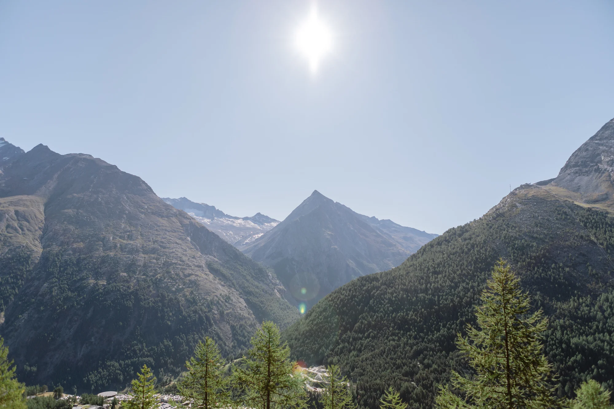 Peak Health Wellness Insights Issue 10