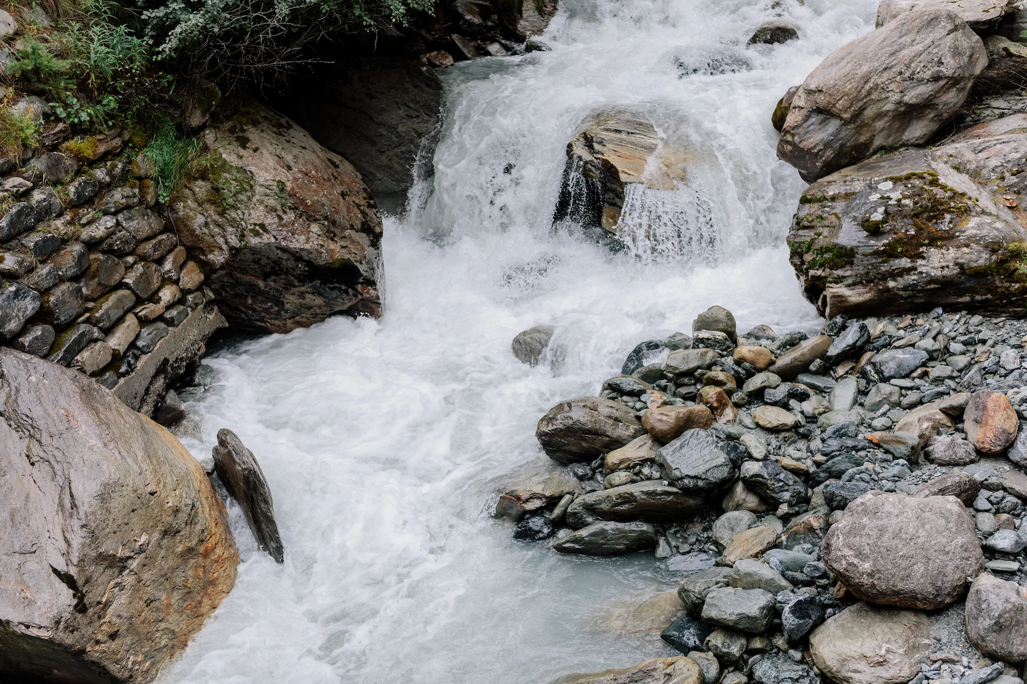 Peak Health Wellness Insights Issue 11