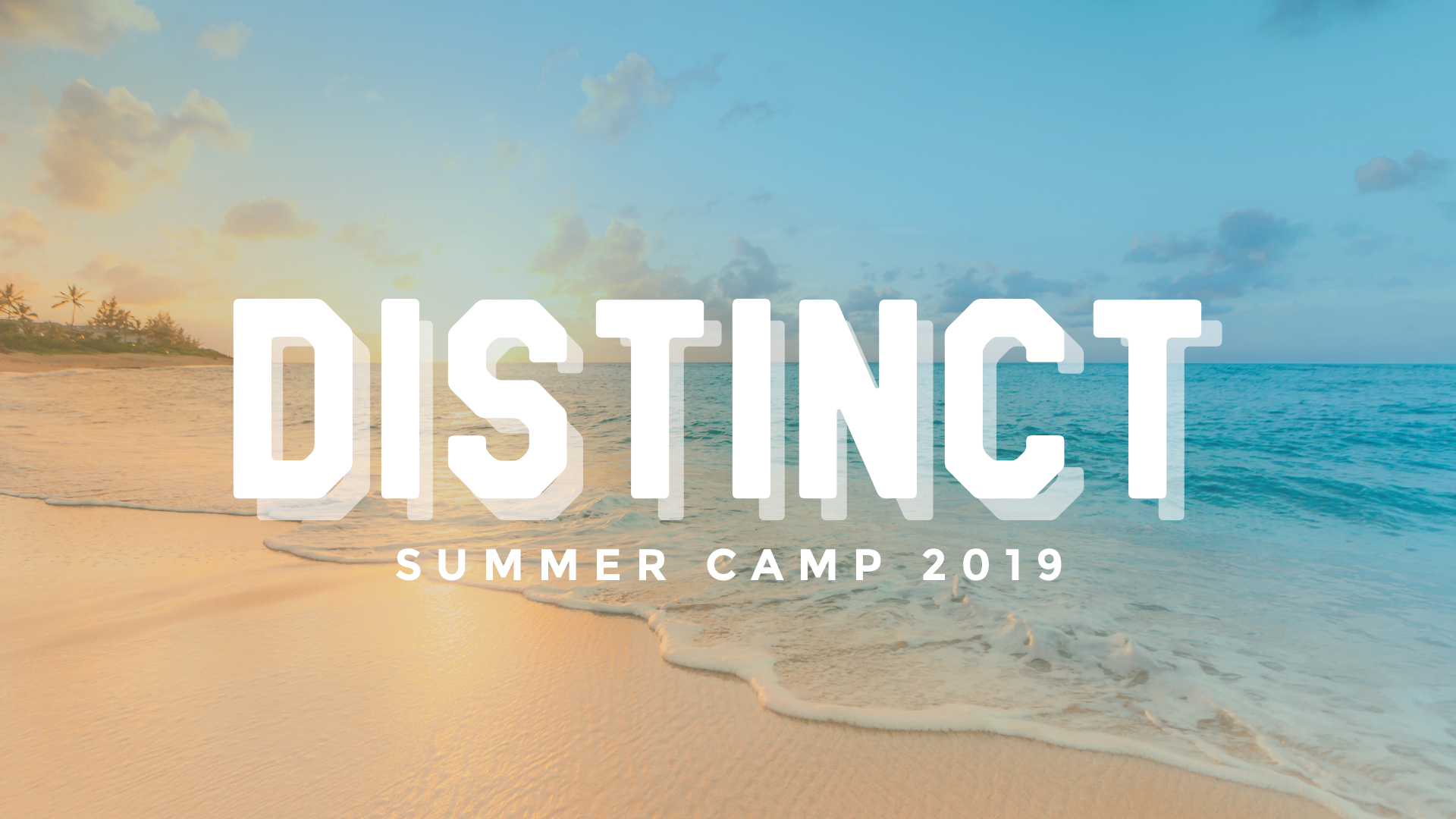Summer Camp 2019- web.png