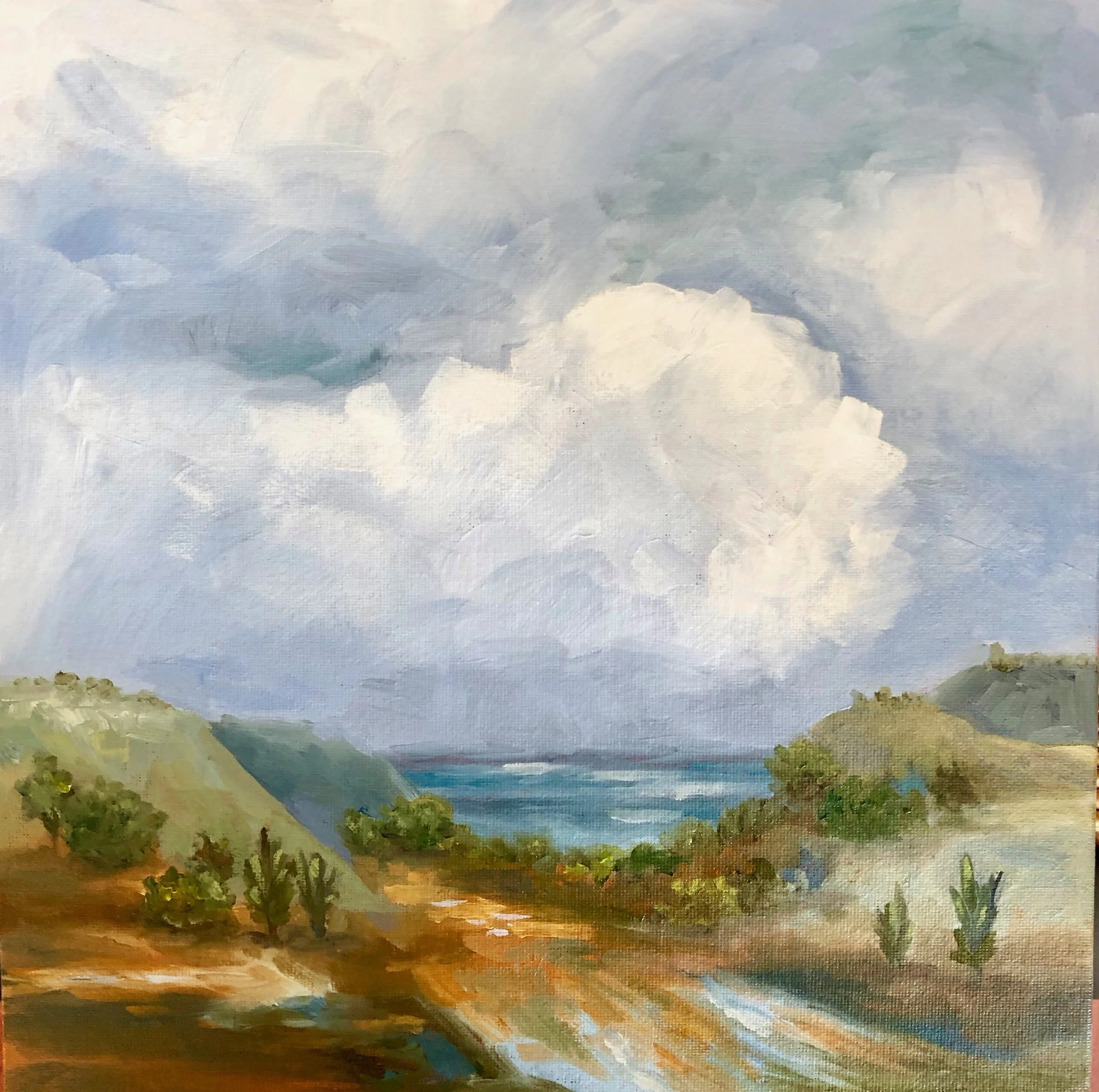 BEACH PATH
