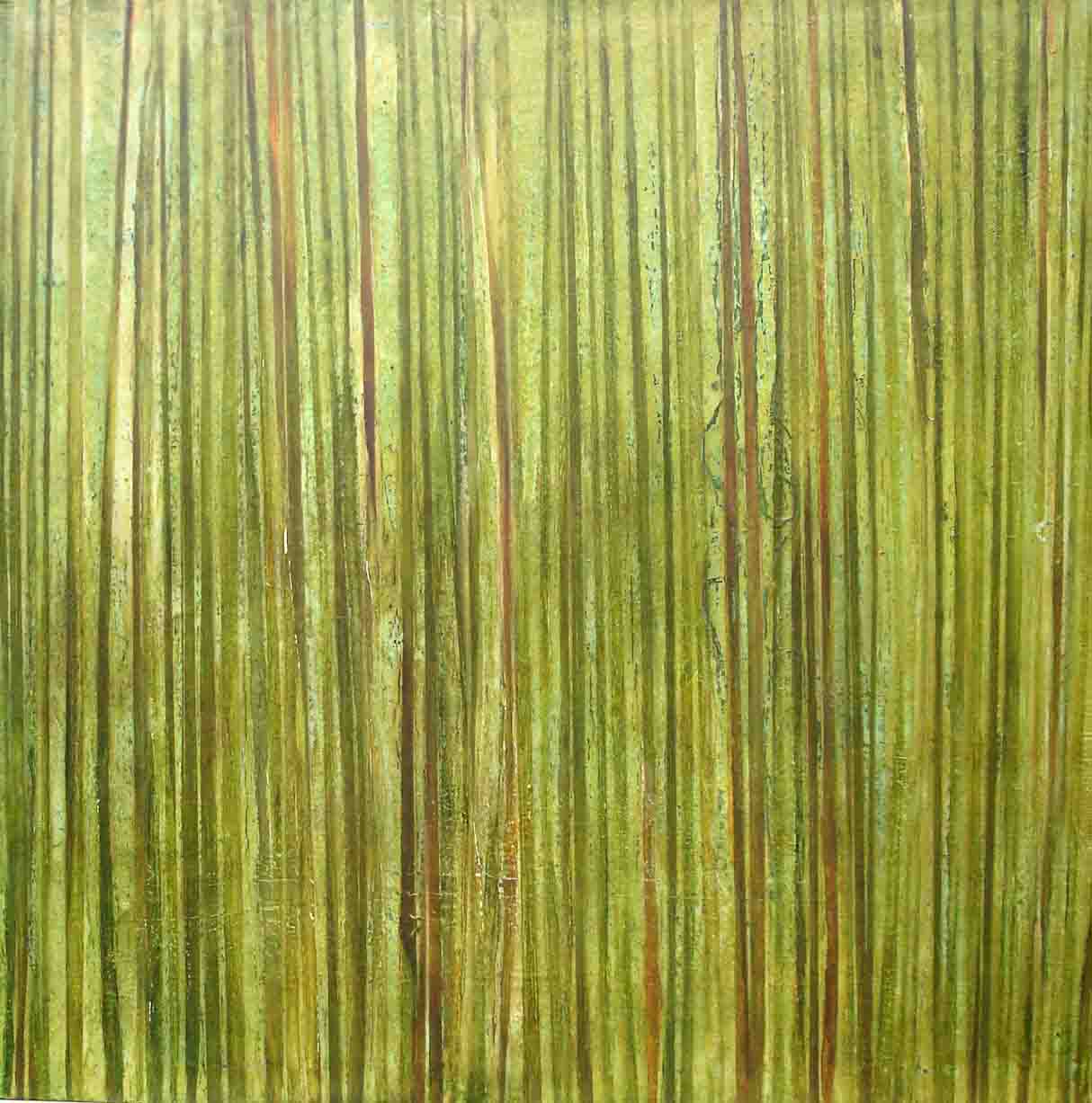 Bamboo_web.jpg