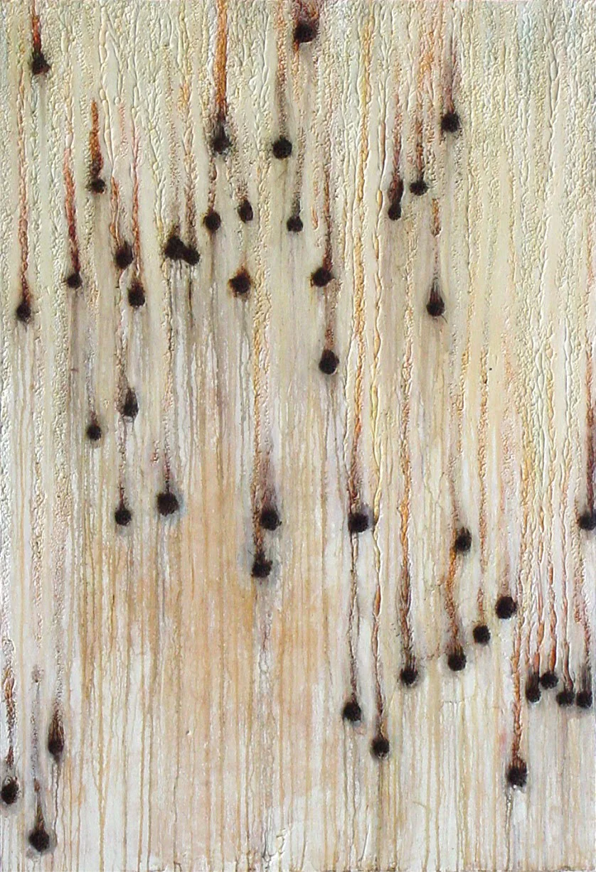 Gumwood_Prickley_rain_web.jpg