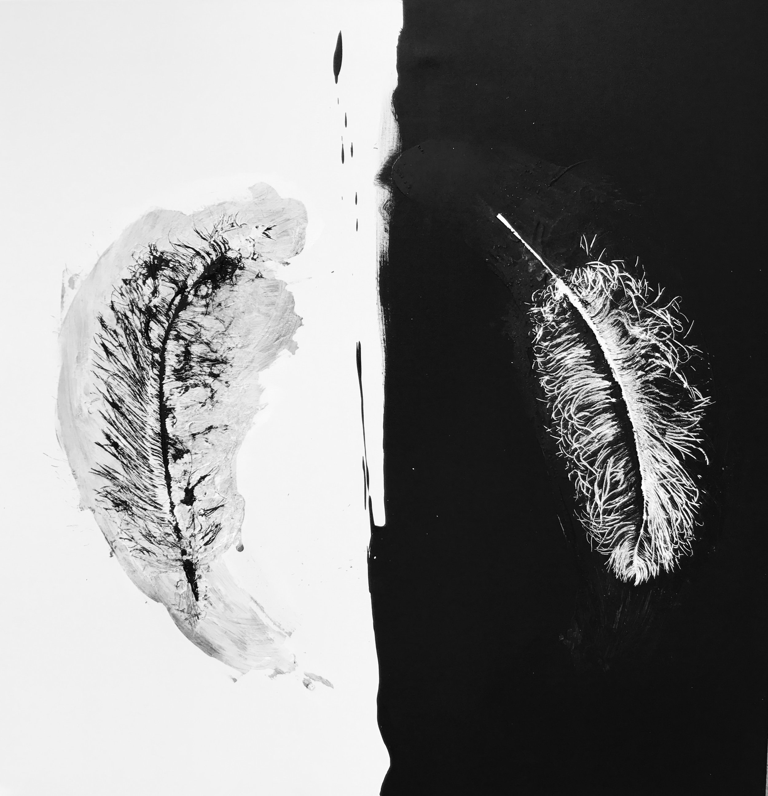 YinYang.jpg