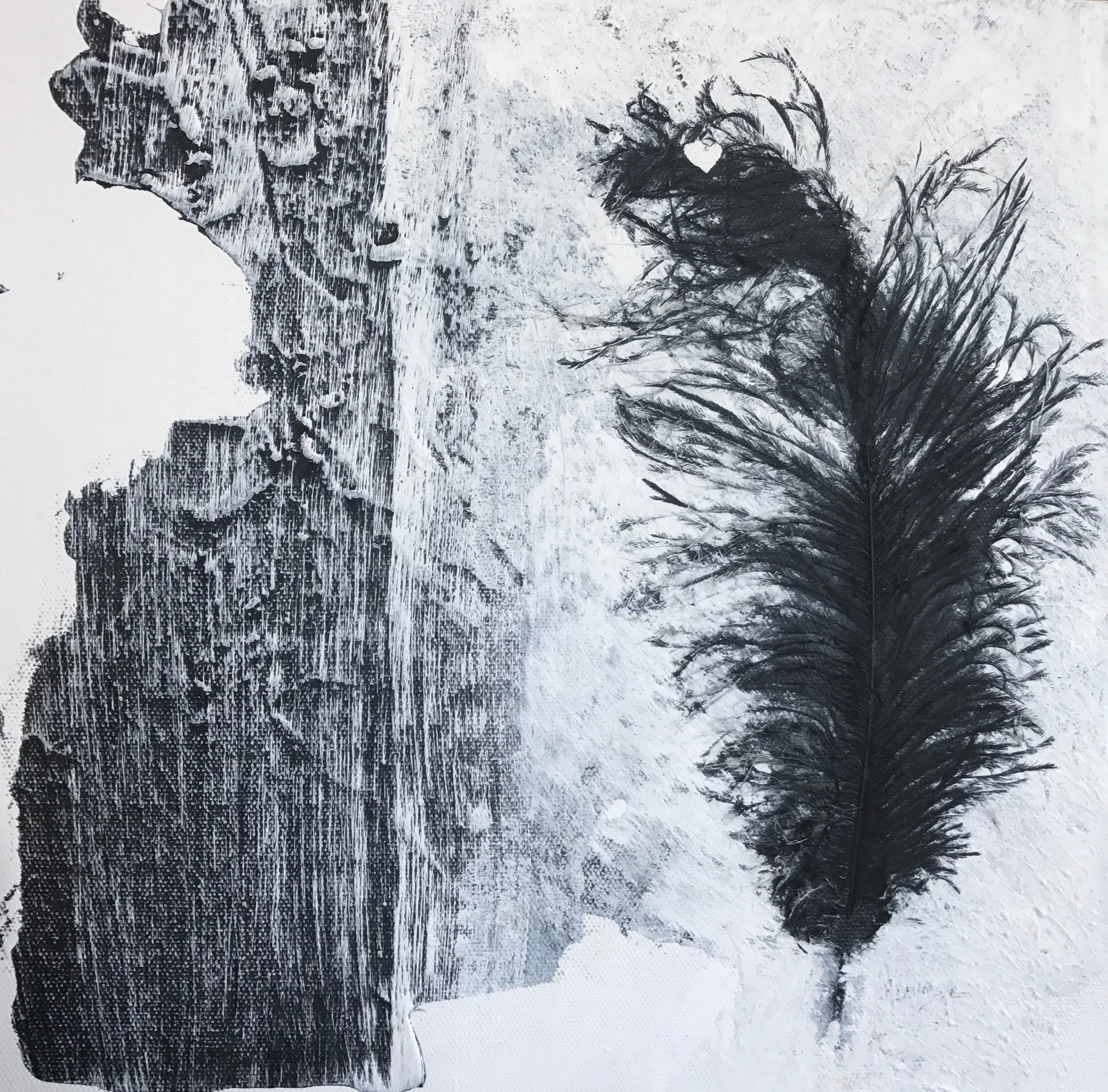 OstrichStudy1.jpg