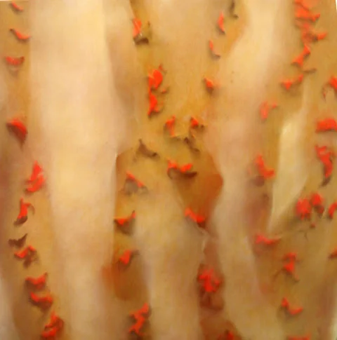 Open Studio Tour at Liberty Station Arts District