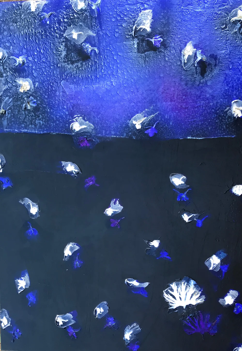 VeltzDCosmos-small.jpg