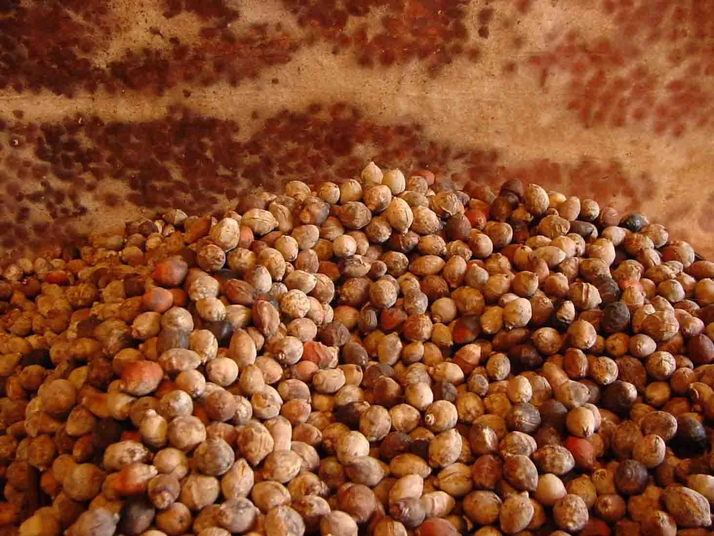 SeedsTapestry_webdetail.jpg