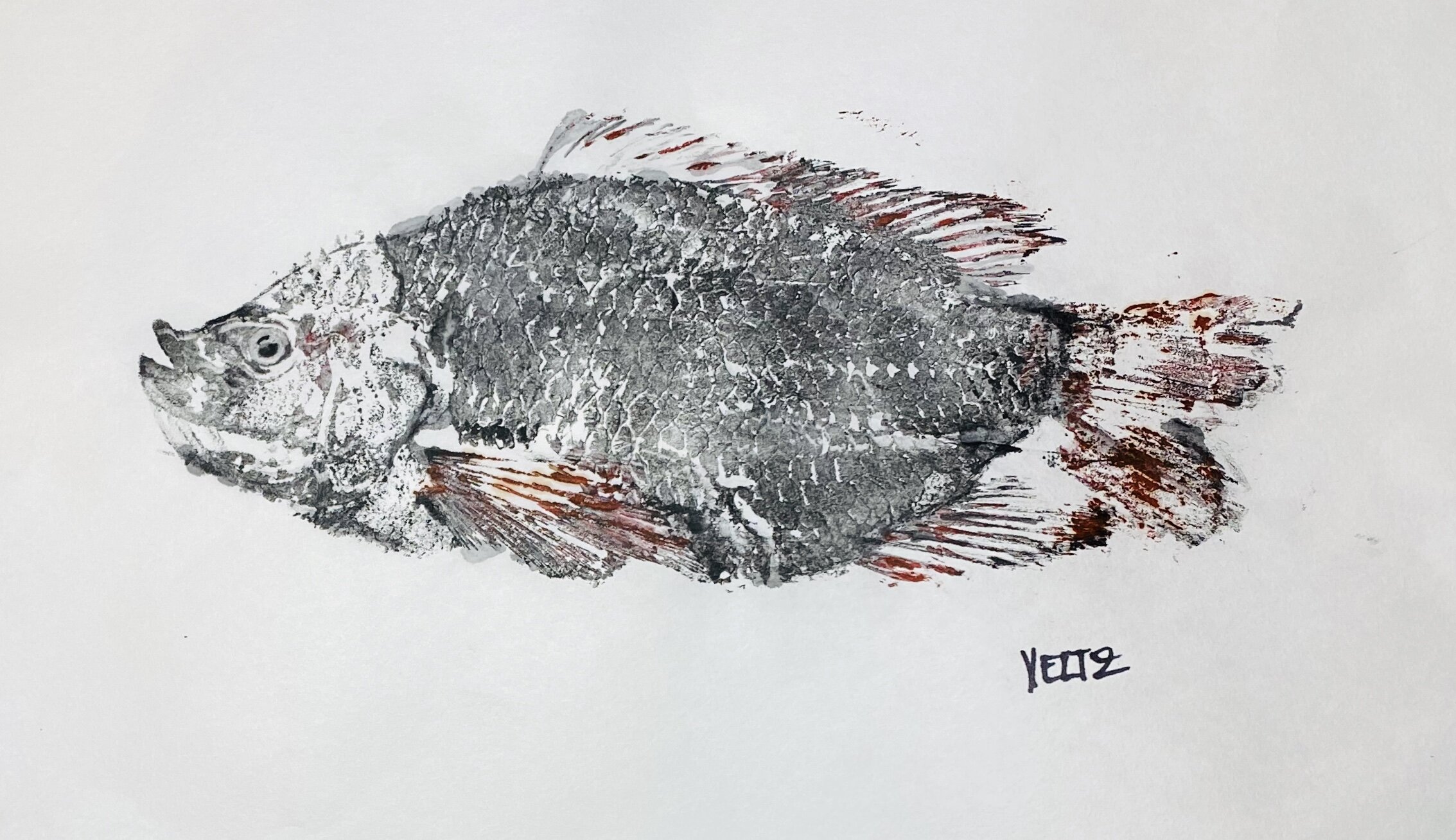 GYOTAKU fish rub Japanese fish prints — Veltz Fine Art