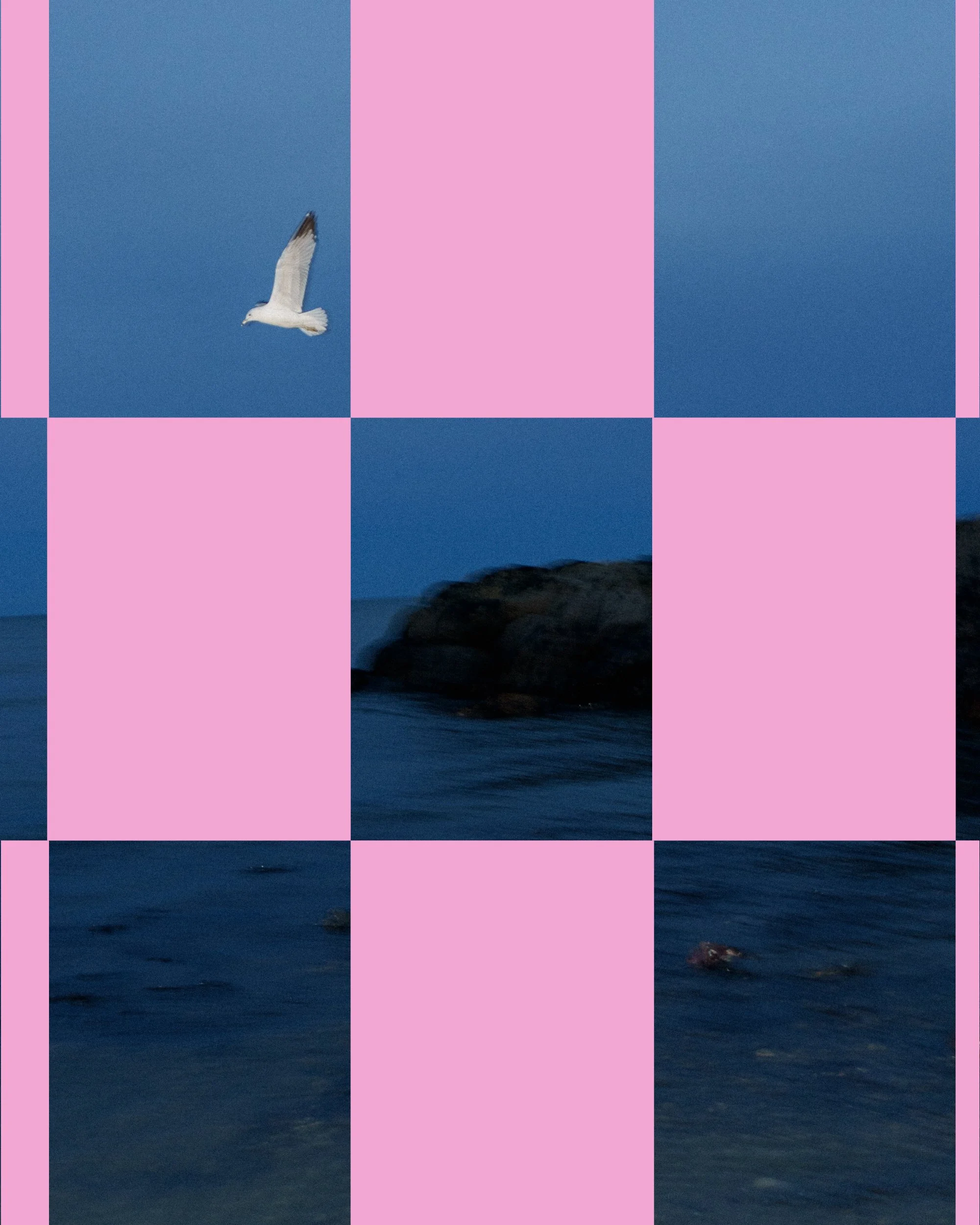 march-2026-collage-09.jpg