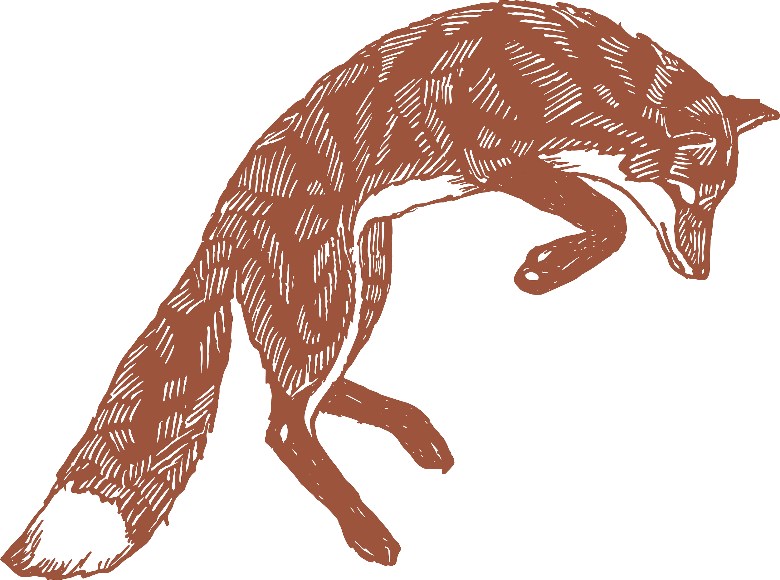 fox leap 2@4x.png