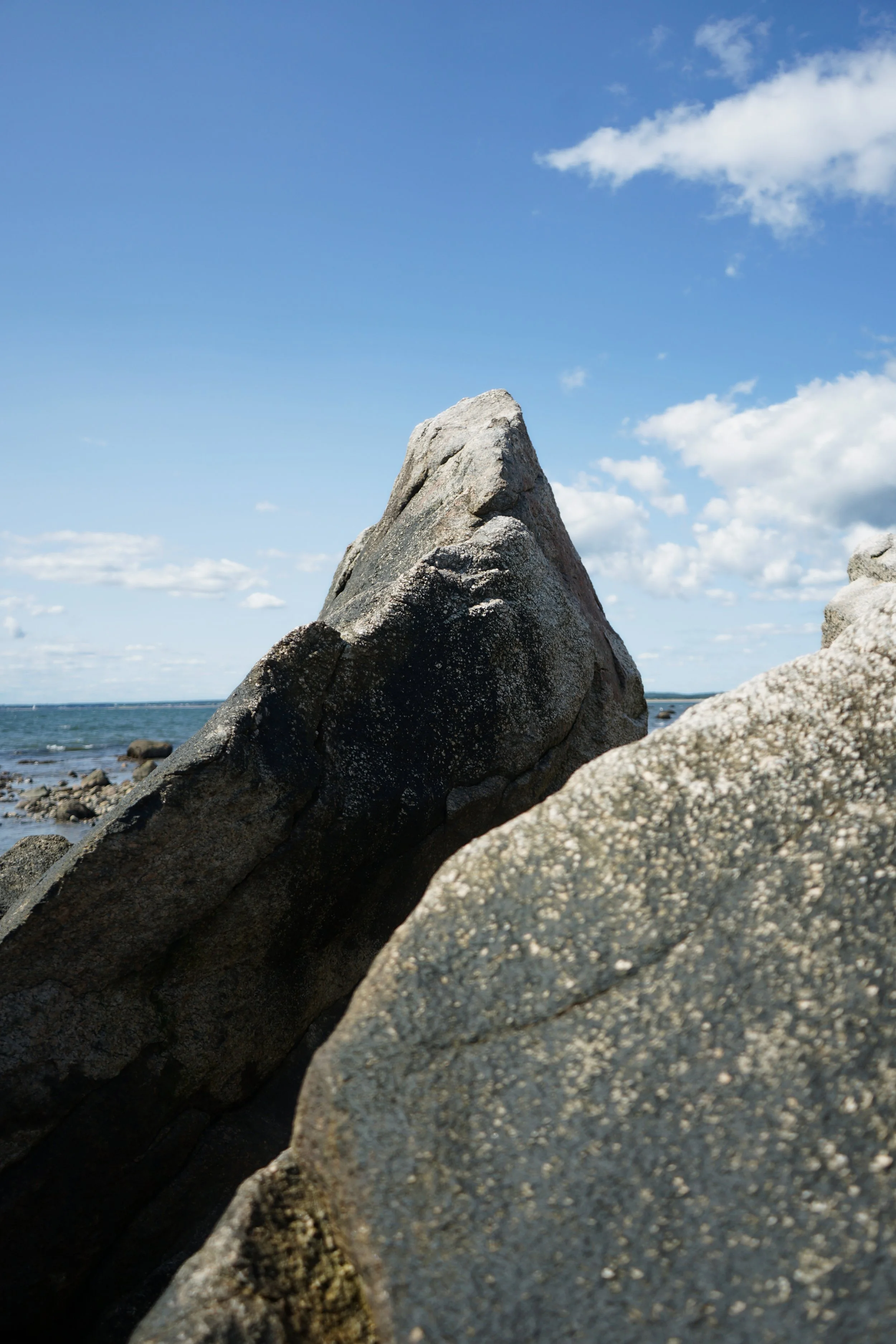 DSC02710-Edit.jpg