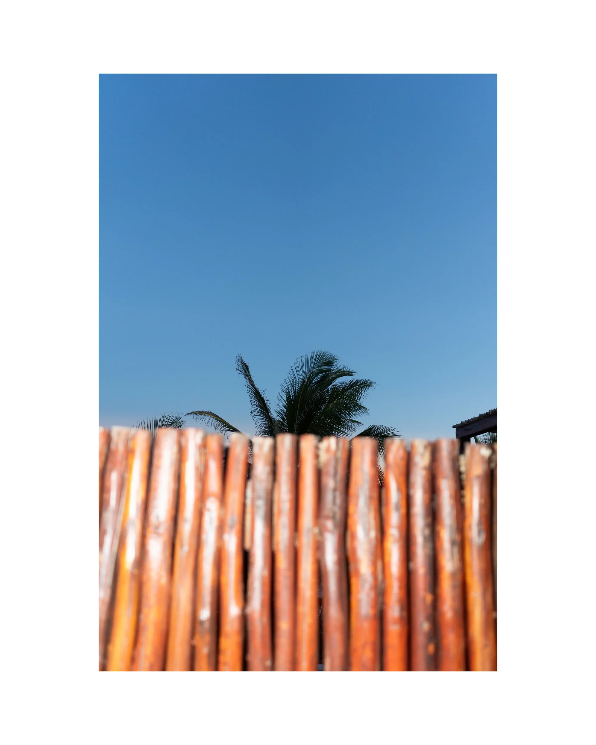 mexico-collage-2-35.jpg