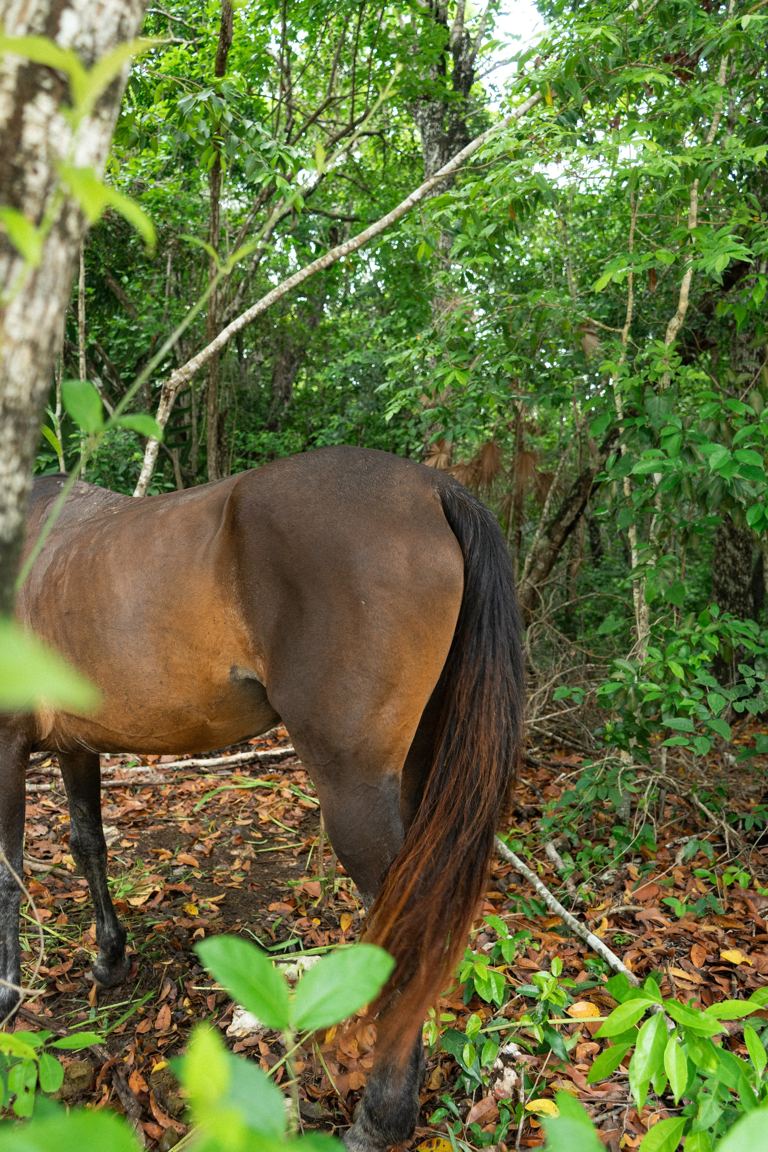 DSC05140.jpg