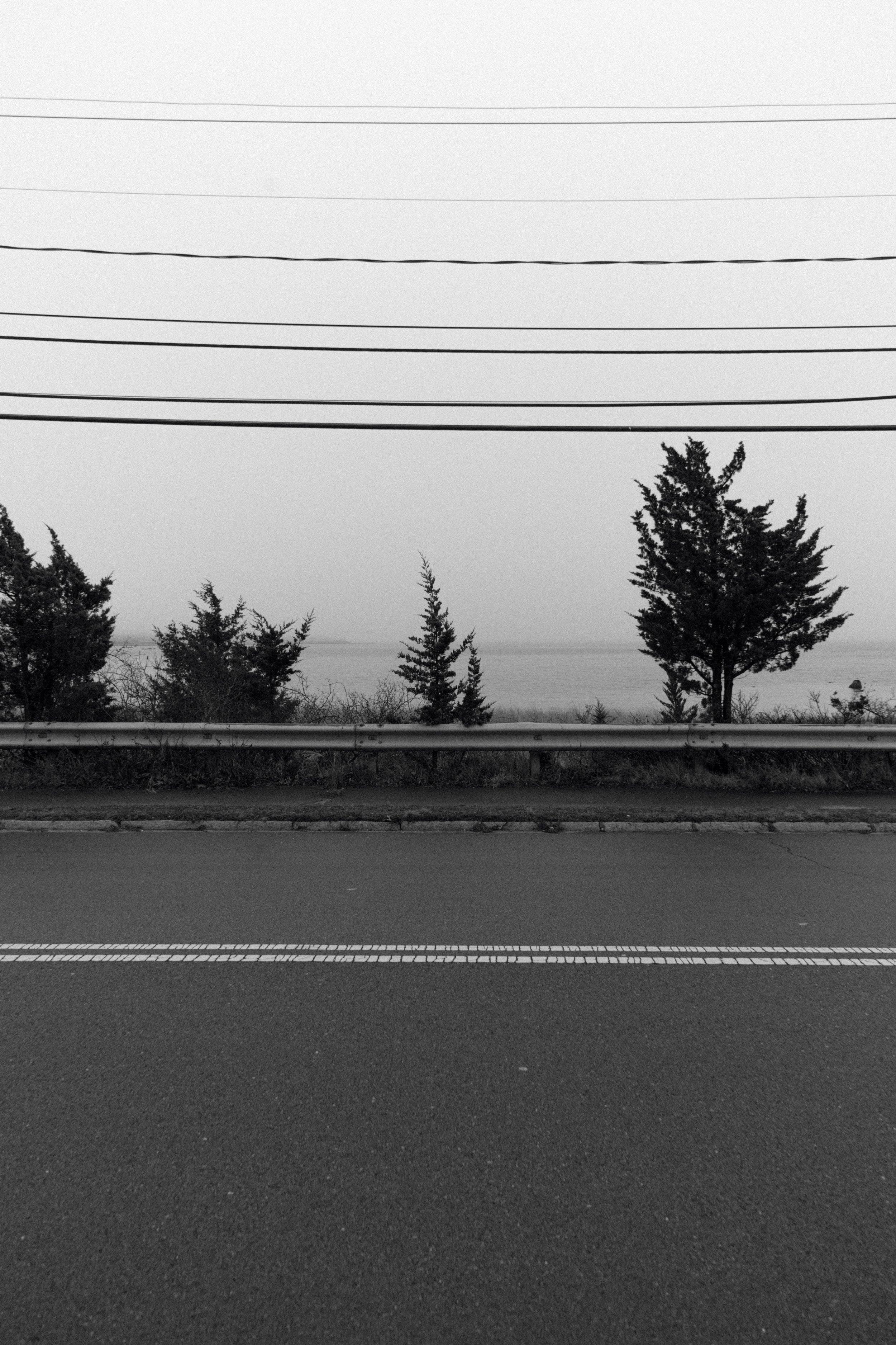 DSC04723.jpg