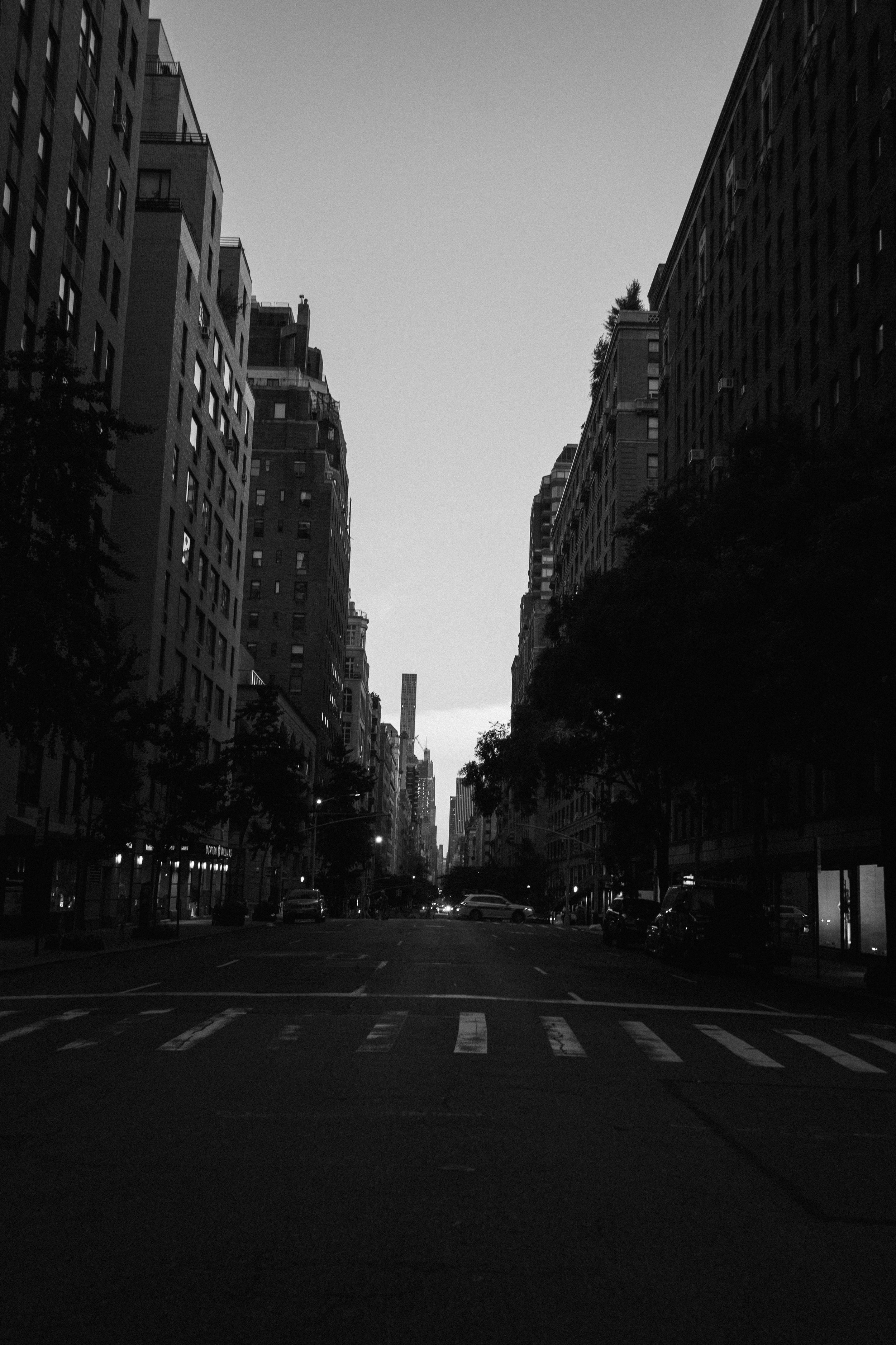 DSC06097-2.jpg