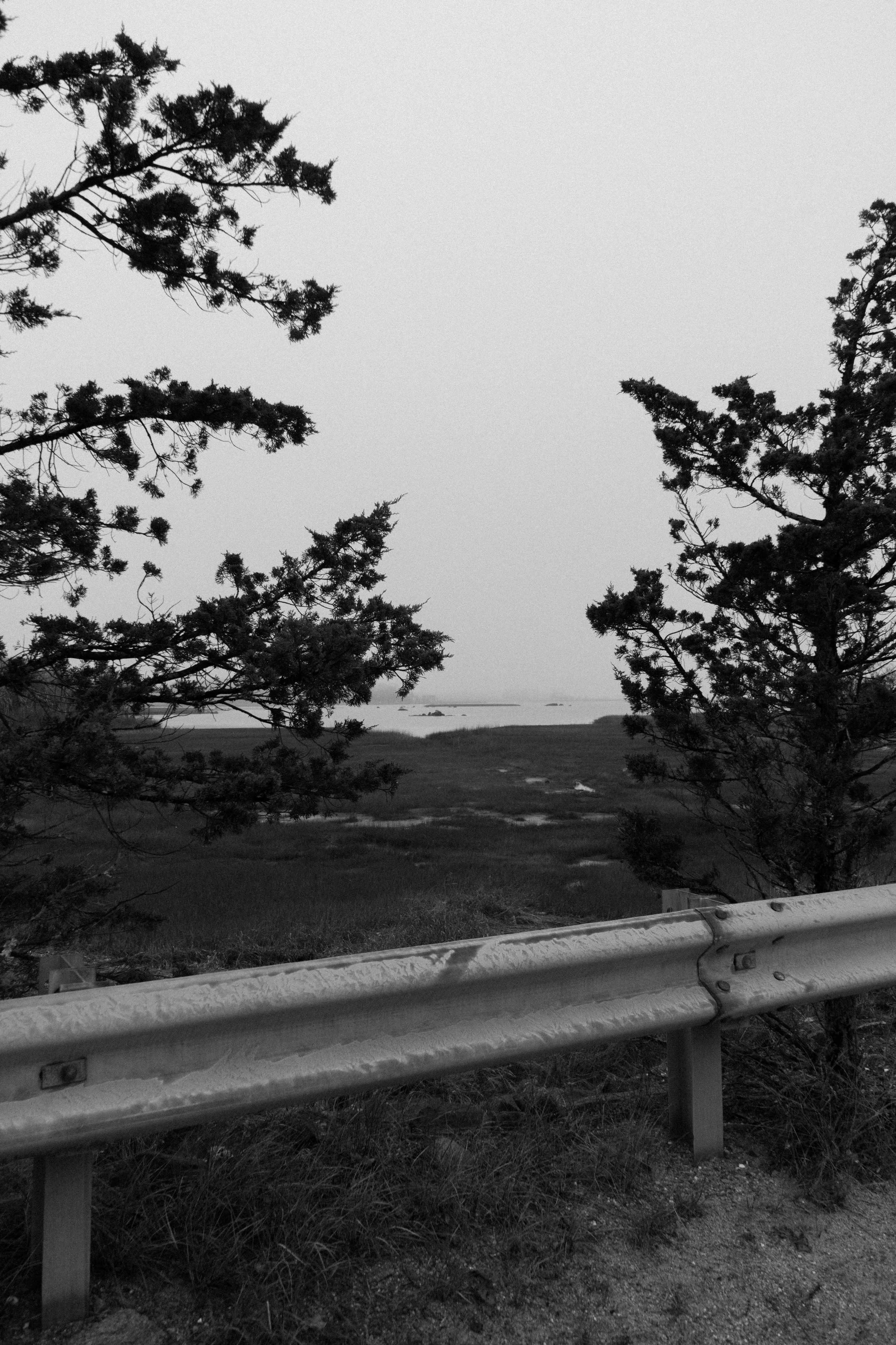 DSC04719.jpg