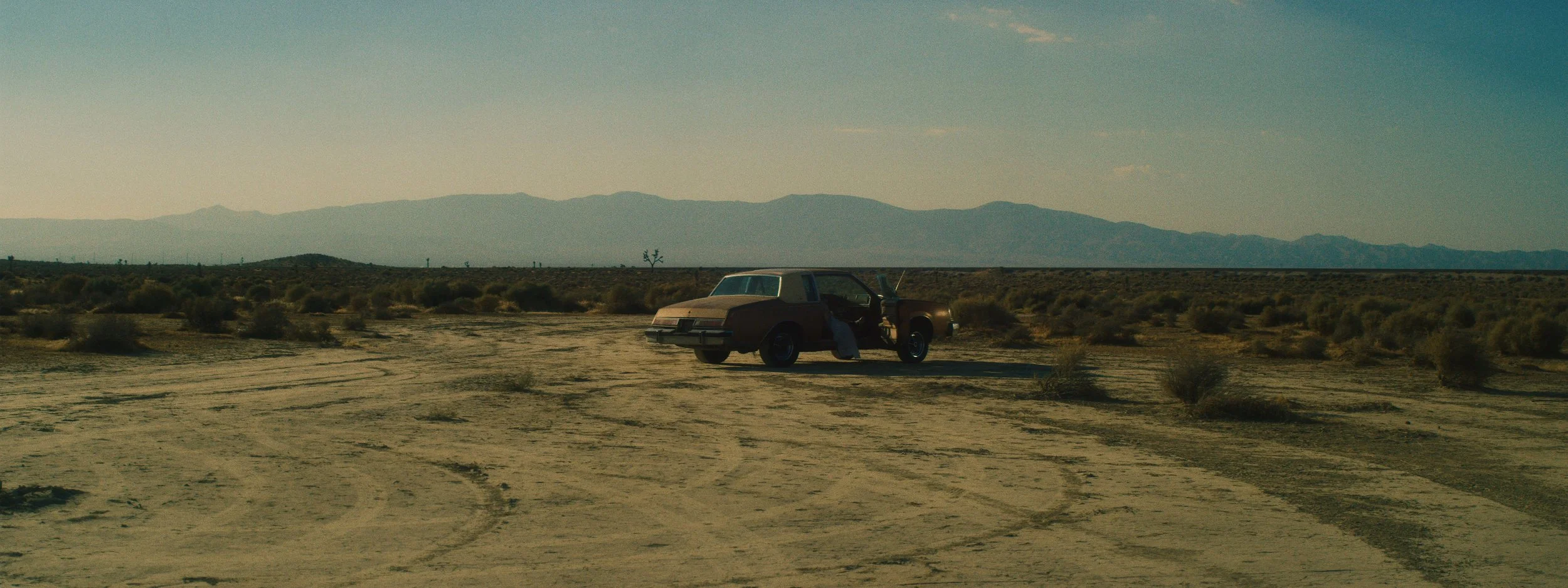 EDIT HOWL FINAL.00_00_07_23.Still003.jpg