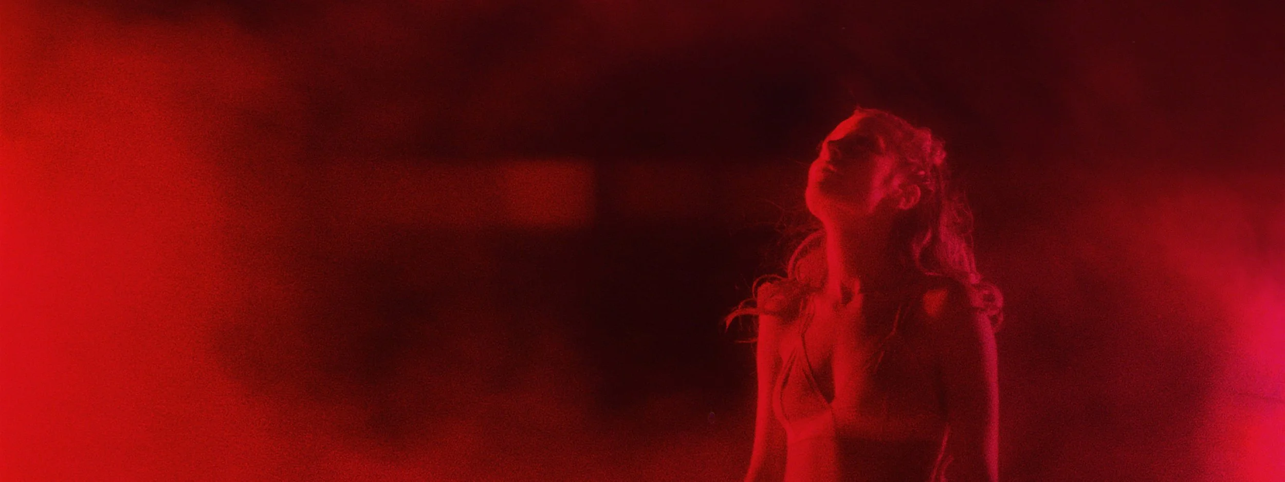 EDIT HOWL FINAL.00_00_37_23.Still105 copy.jpg