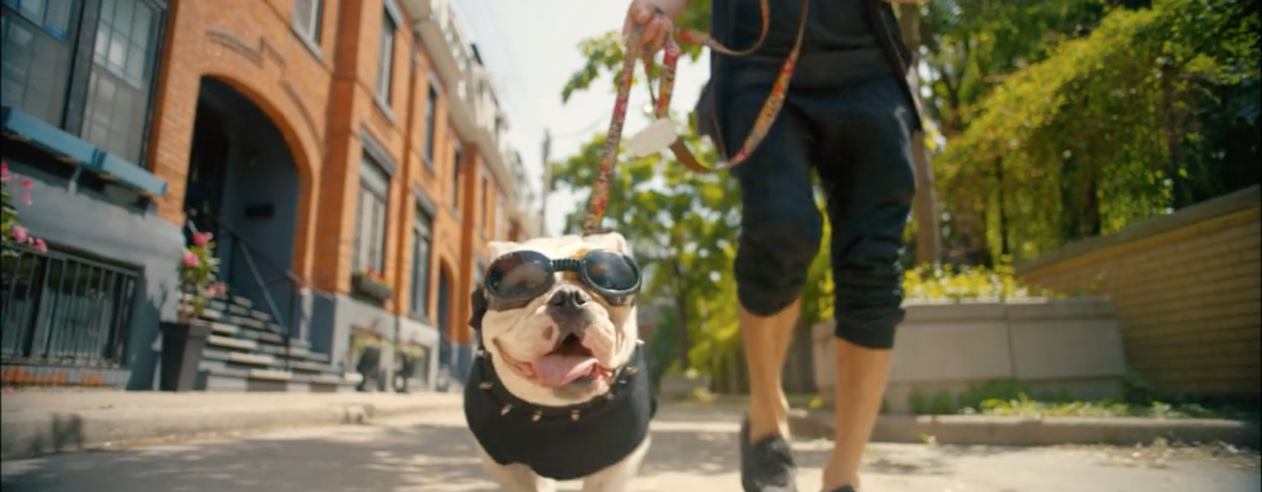 Screen Shot 2017-11-10 at 10.48.04 PM.png