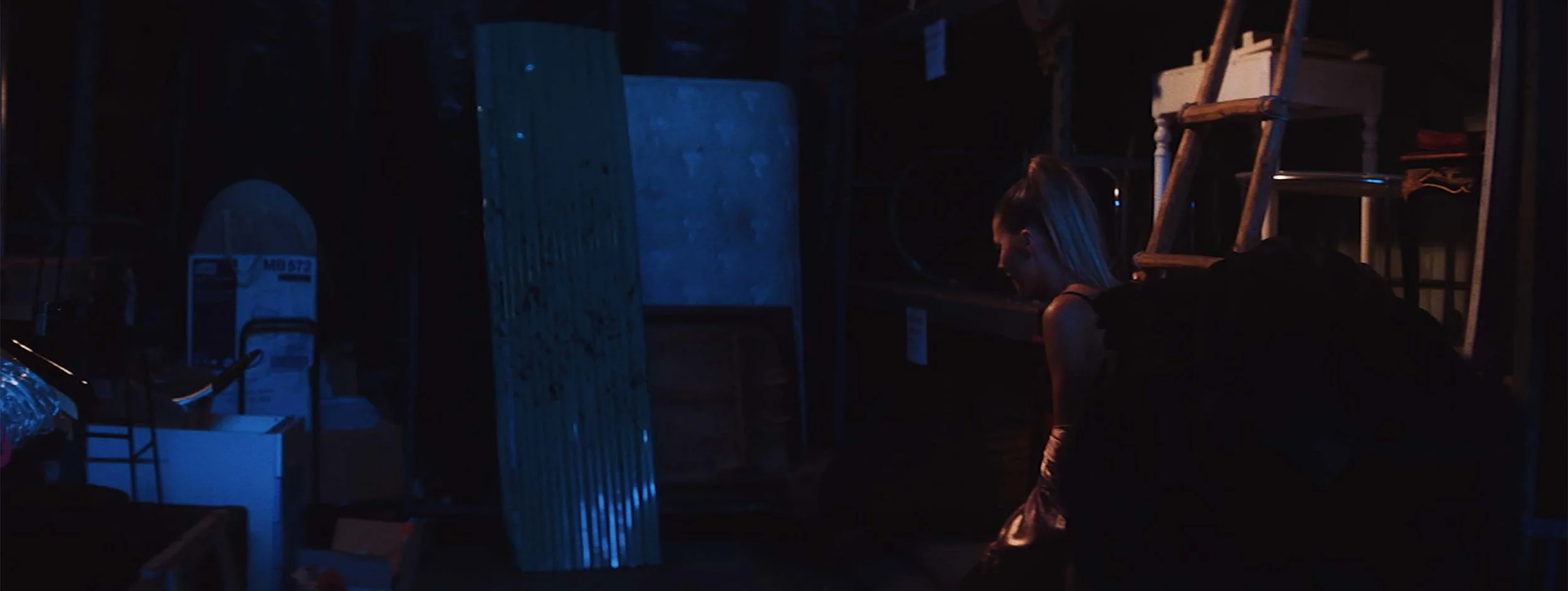 EDIT 2 FINAL FINAL EXPORT.00_03_53_23.Still048 copy.jpg