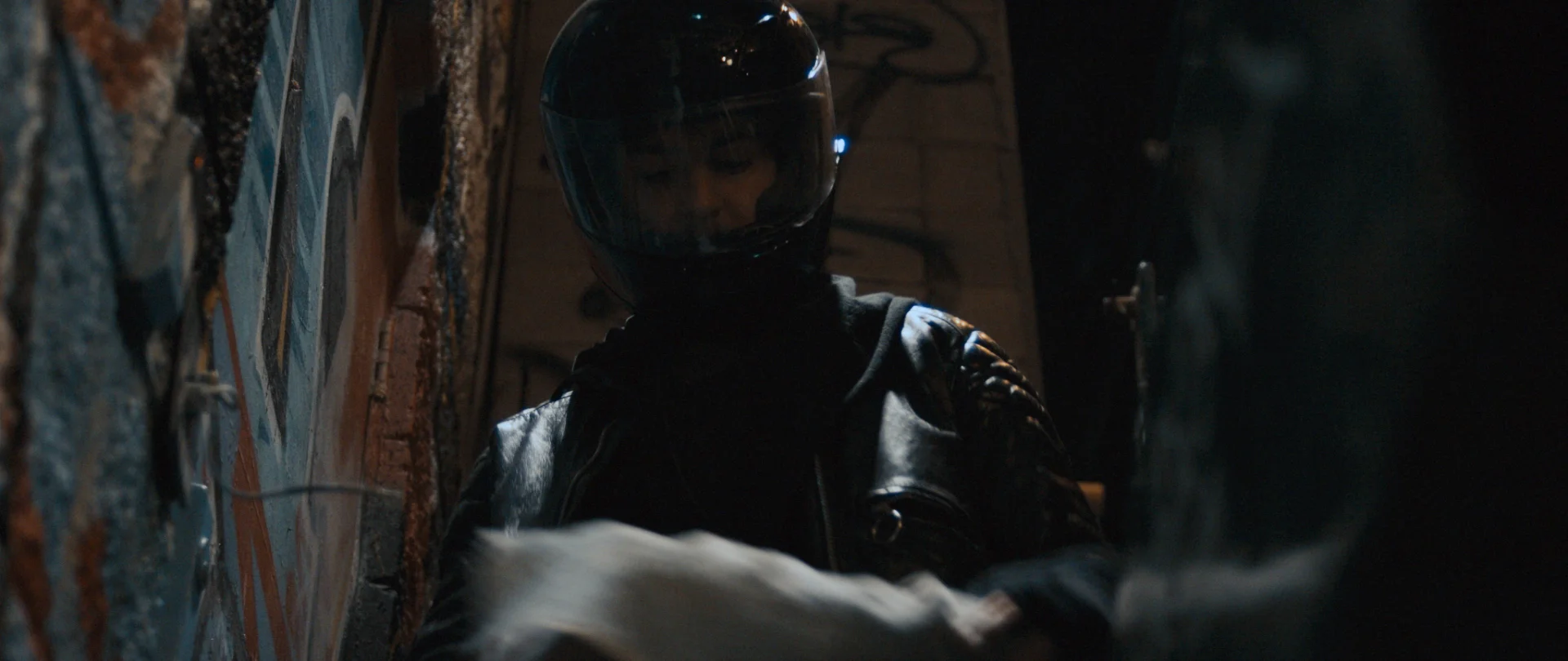 Sequence 01.00_02_20_17.Still029.jpg