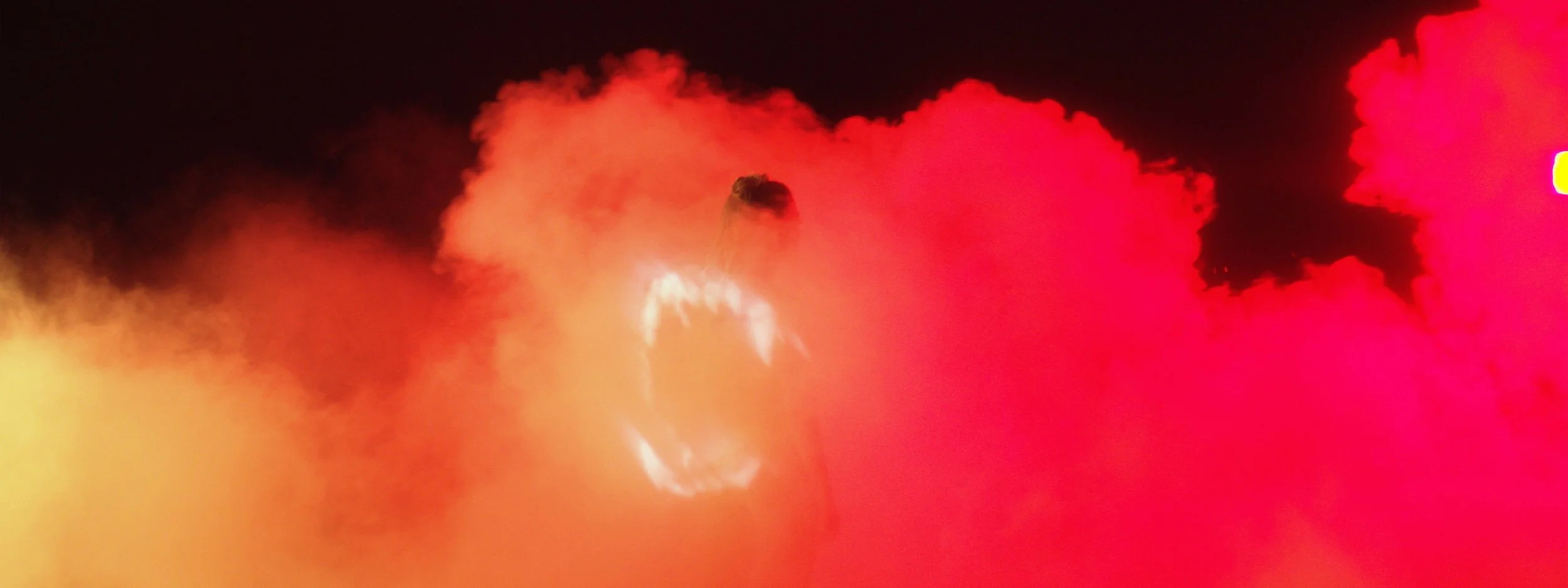 EDIT.00_00_19_17.Still001 copy.jpg