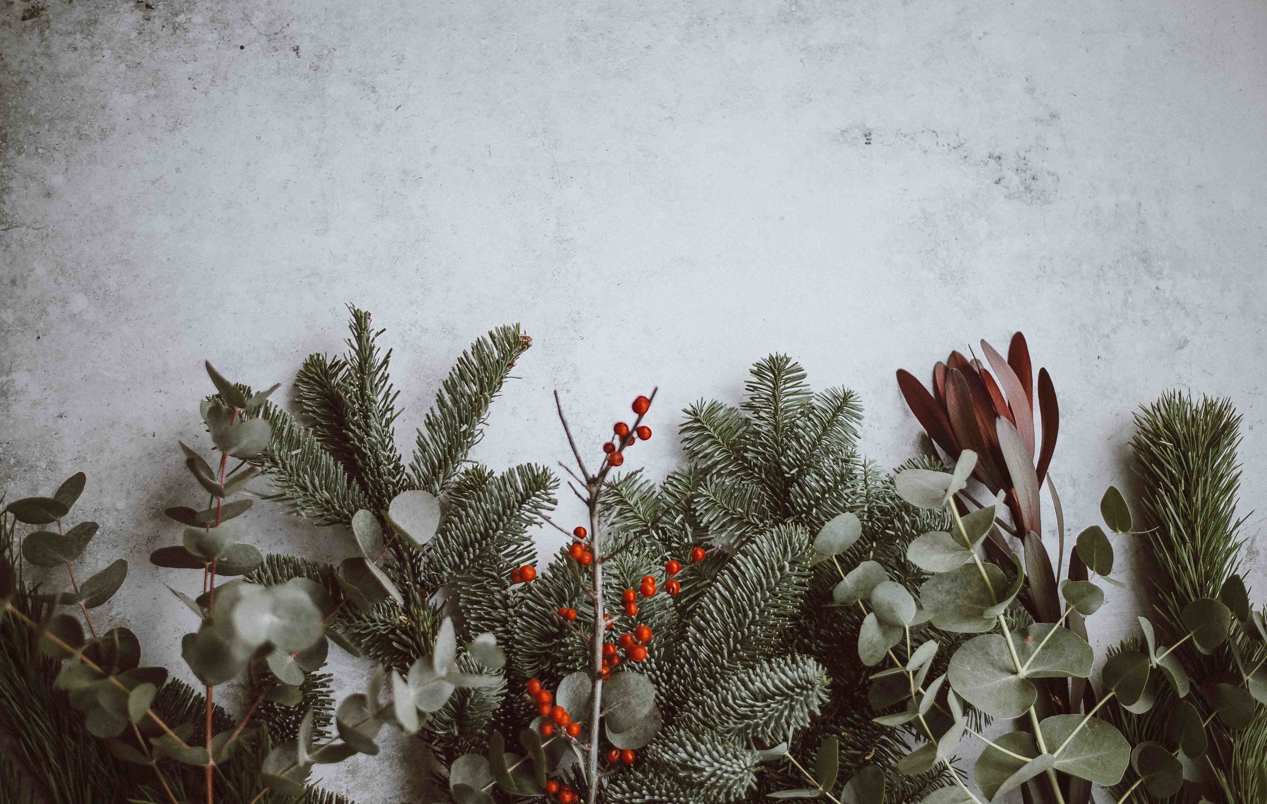 annie-spratt-469222-unsplash2.jpg