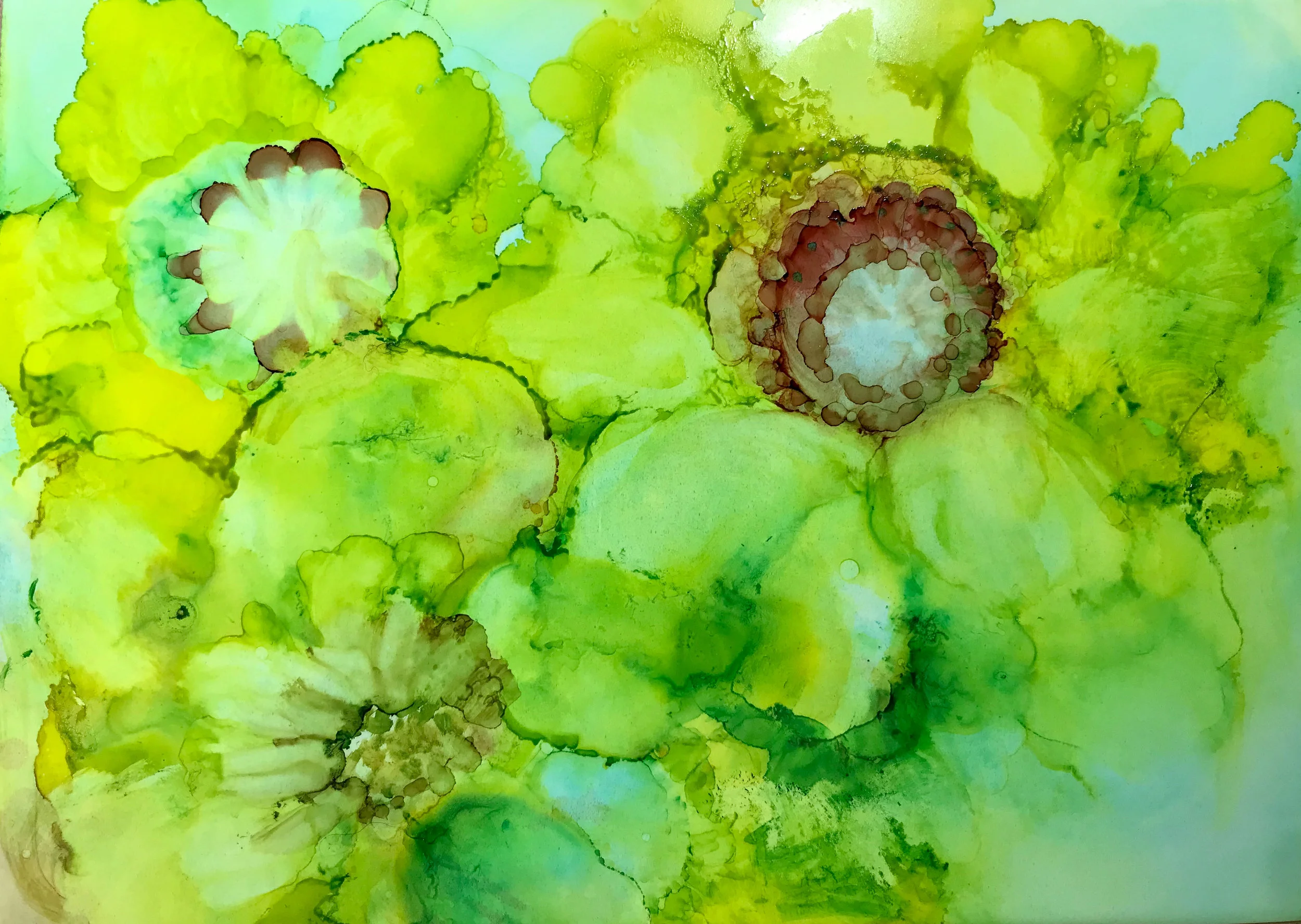 Summer Radiance